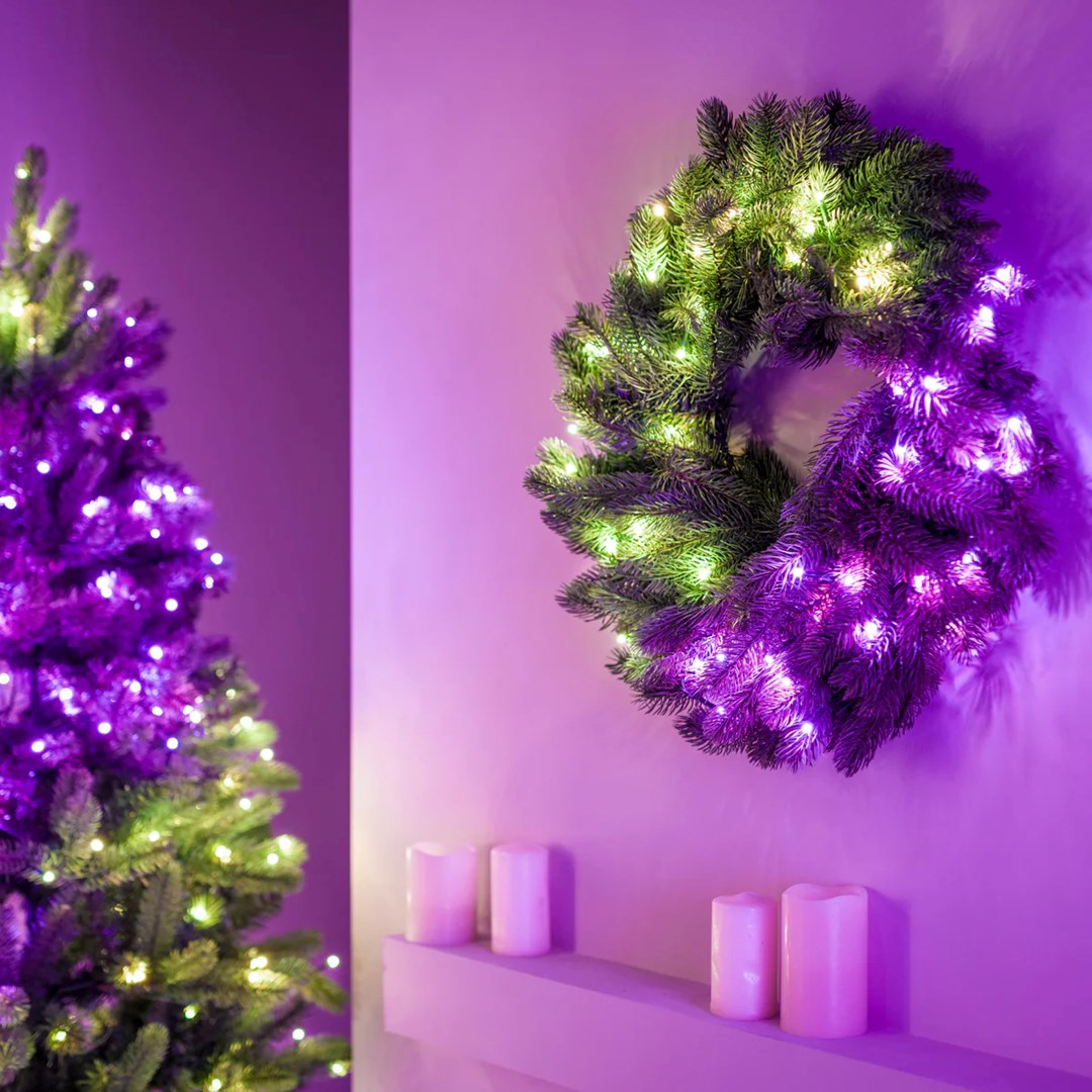 Wienac TWINKLY Wstępnie oświetlony 50 RGB LED 24" zeleni kabel-0