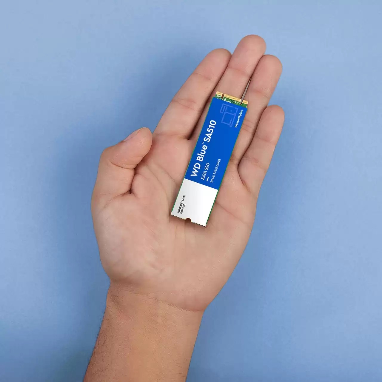 SSD disk WD Blue 2TB M.2 SATA WDS200T3B0B-12