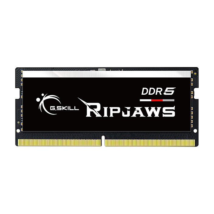 Memorijski modul G.SKILL Ripjaws F5-4800S3434A16GX1-RS (16 GB, DDR5, 4800 MHz)