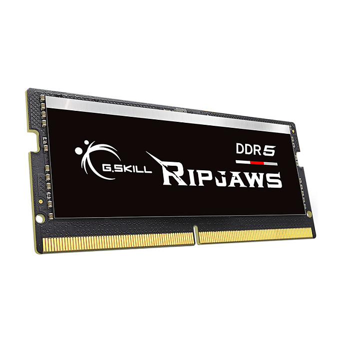 Memorijski modul G.SKILL Ripjaws F5-4800S3434A16GX1-RS (16 GB, DDR5, 4800 MHz)-1