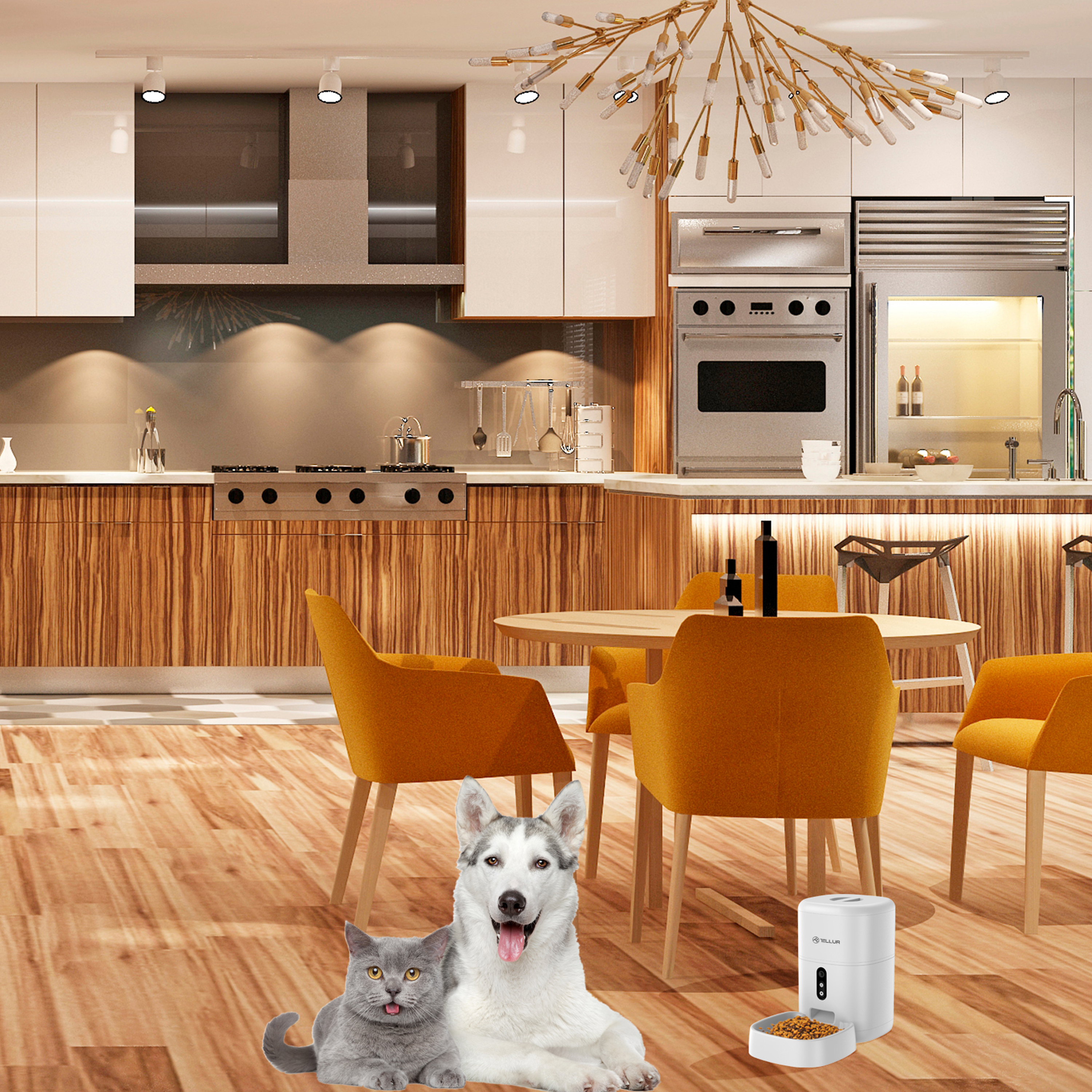 Automatski hranilica za kućne ljubimce TELLUR SMART WIFI PET FEEDER, ULTRA HD kamera, 4L bijeli-6