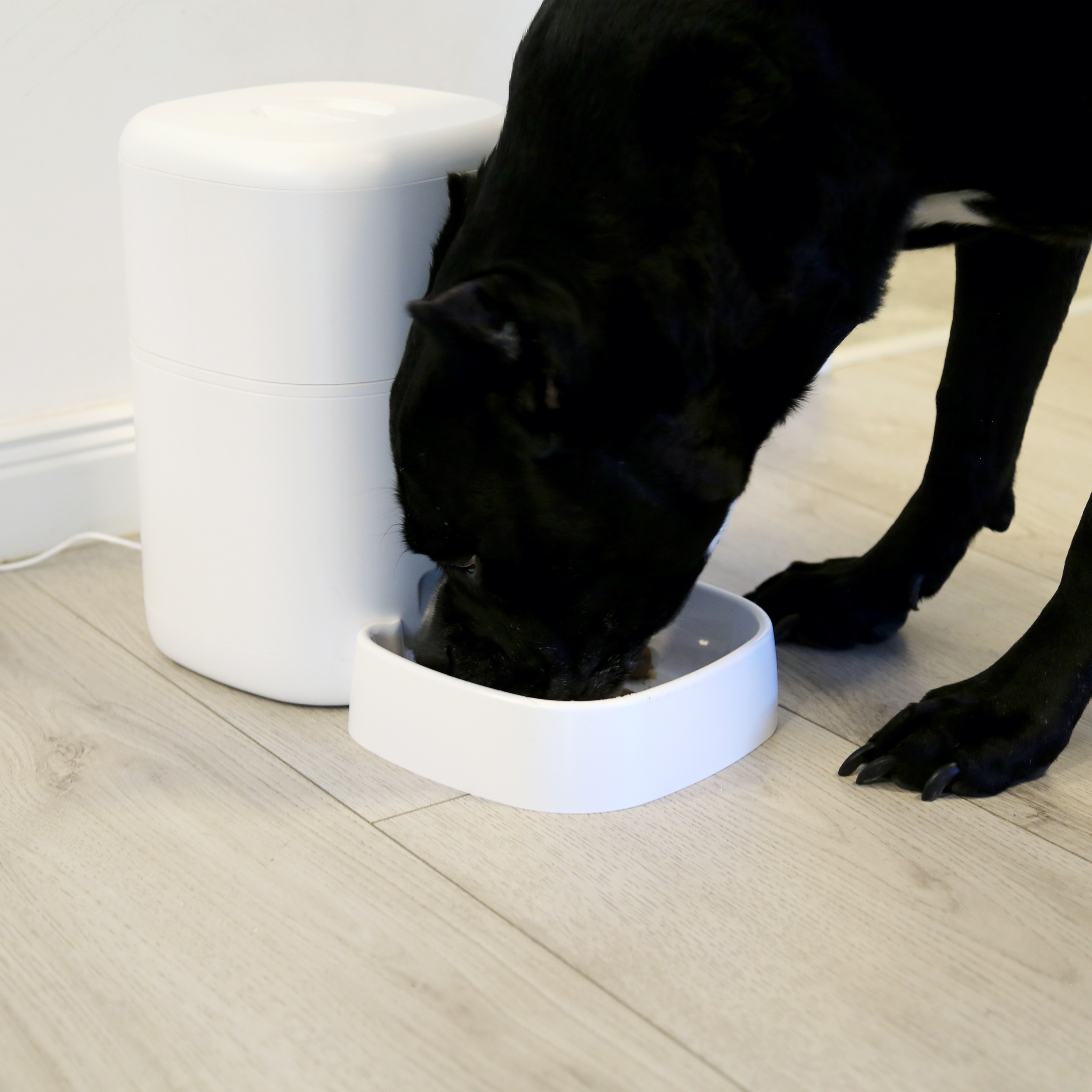 Automatski hranilica za kućne ljubimce TELLUR SMART WIFI PET FEEDER, ULTRA HD kamera, 4L bijeli-7