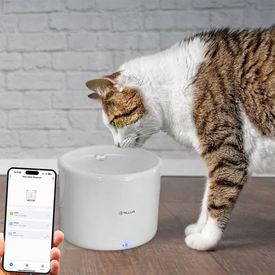 Dispenzer za vodu TELLUR SMART WIFI PET 2L bijeli-4