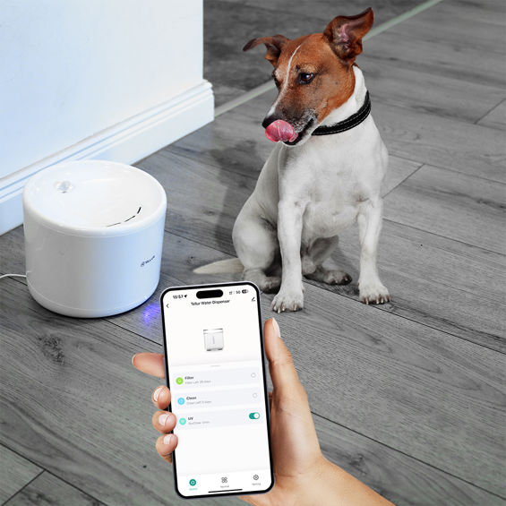 Dispenzer za vodu TELLUR SMART WIFI PET 2L bijeli-5