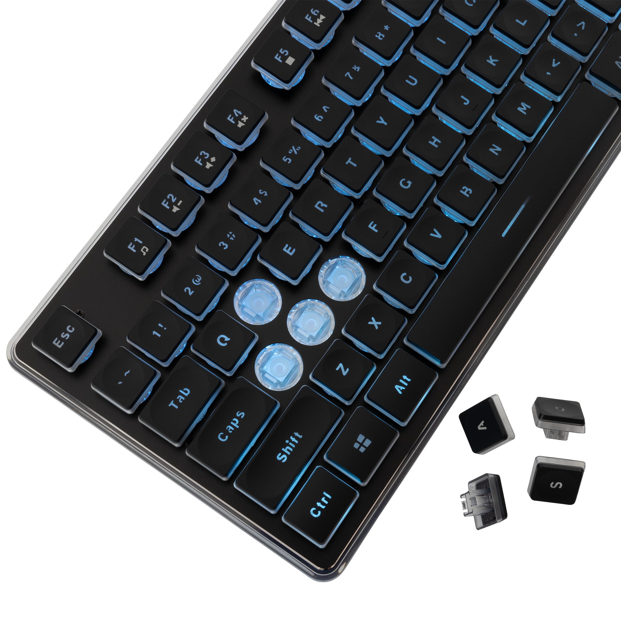 White Shark Tipkovnica GK-003141 TACHI-Crna-US-10