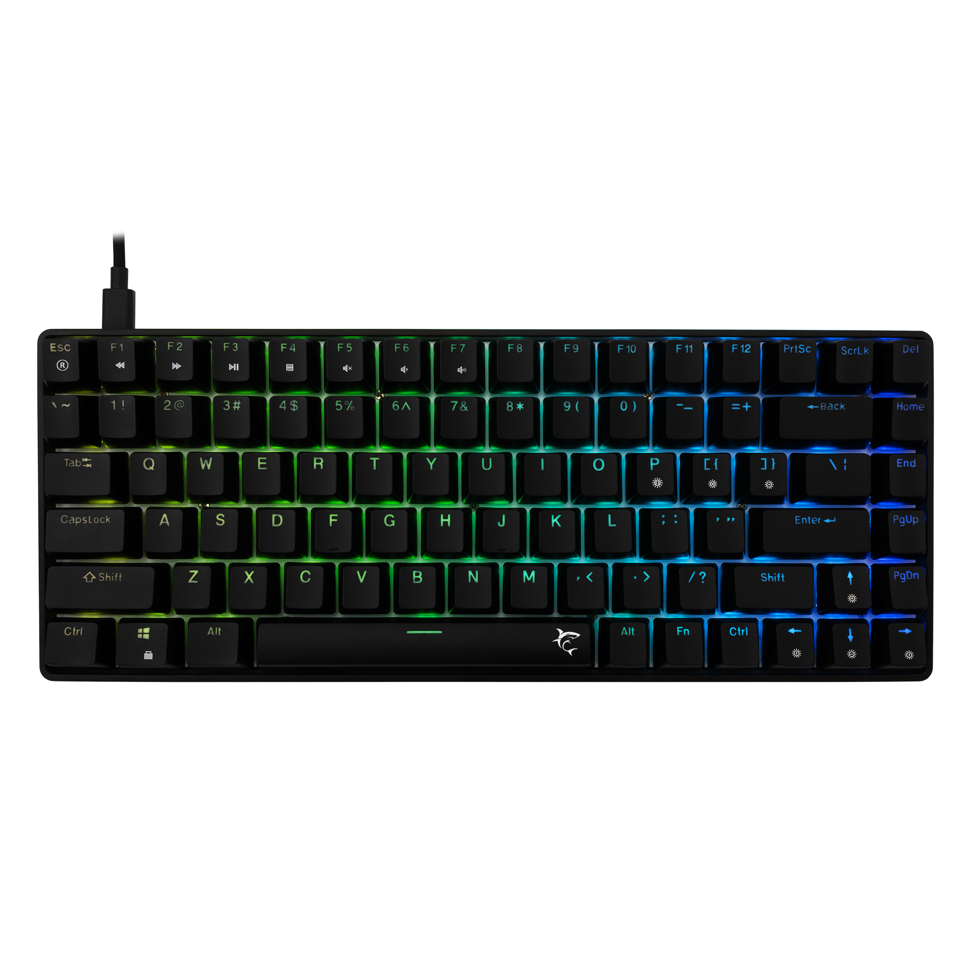 White Shark Tipkovnica GK-005121 HAMACHI Mehanička RGB / US - BLUE SW.-11