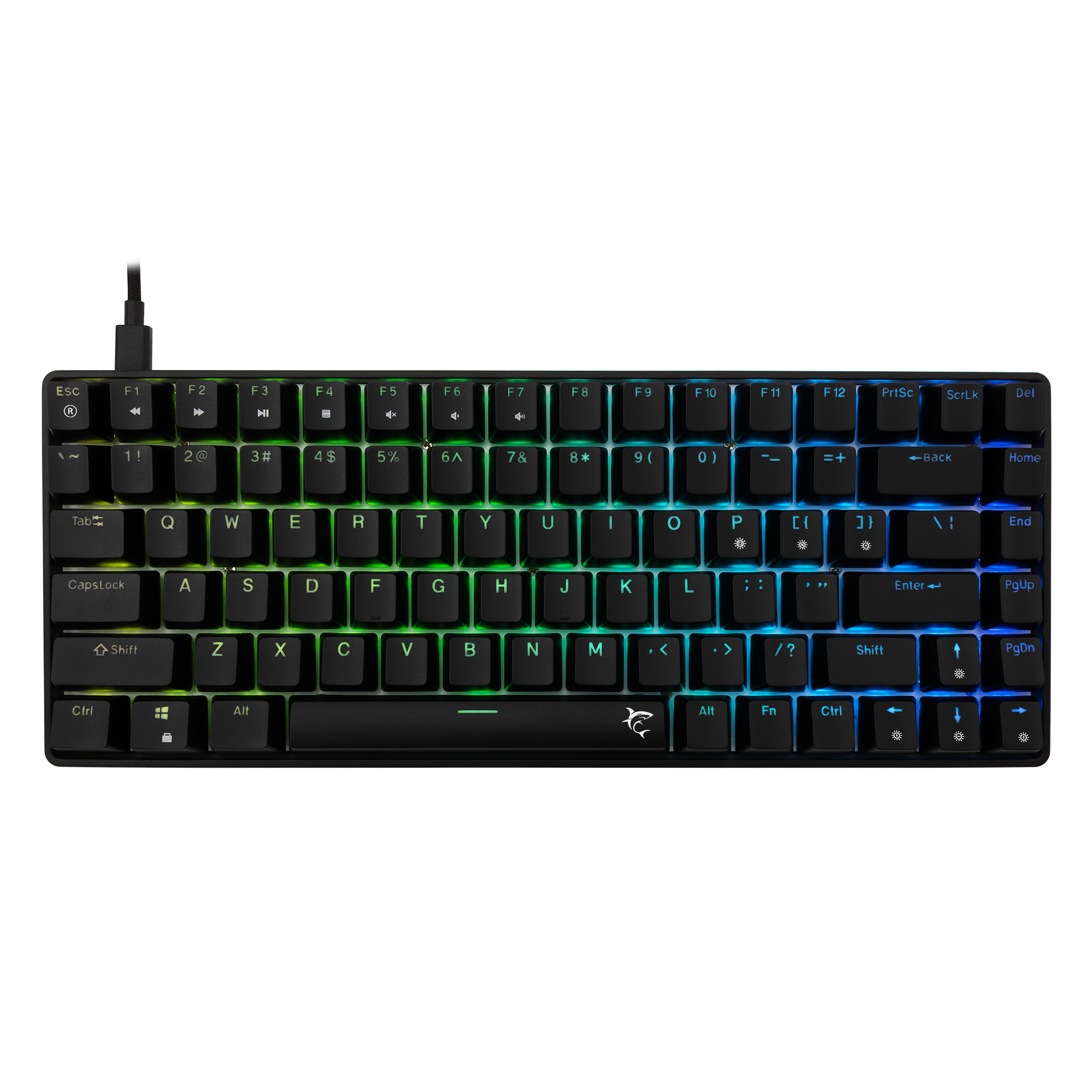 White Shark Tipkovnica GK-005121 HAMACHI Mehanička RGB / US - BLUE SW.-17