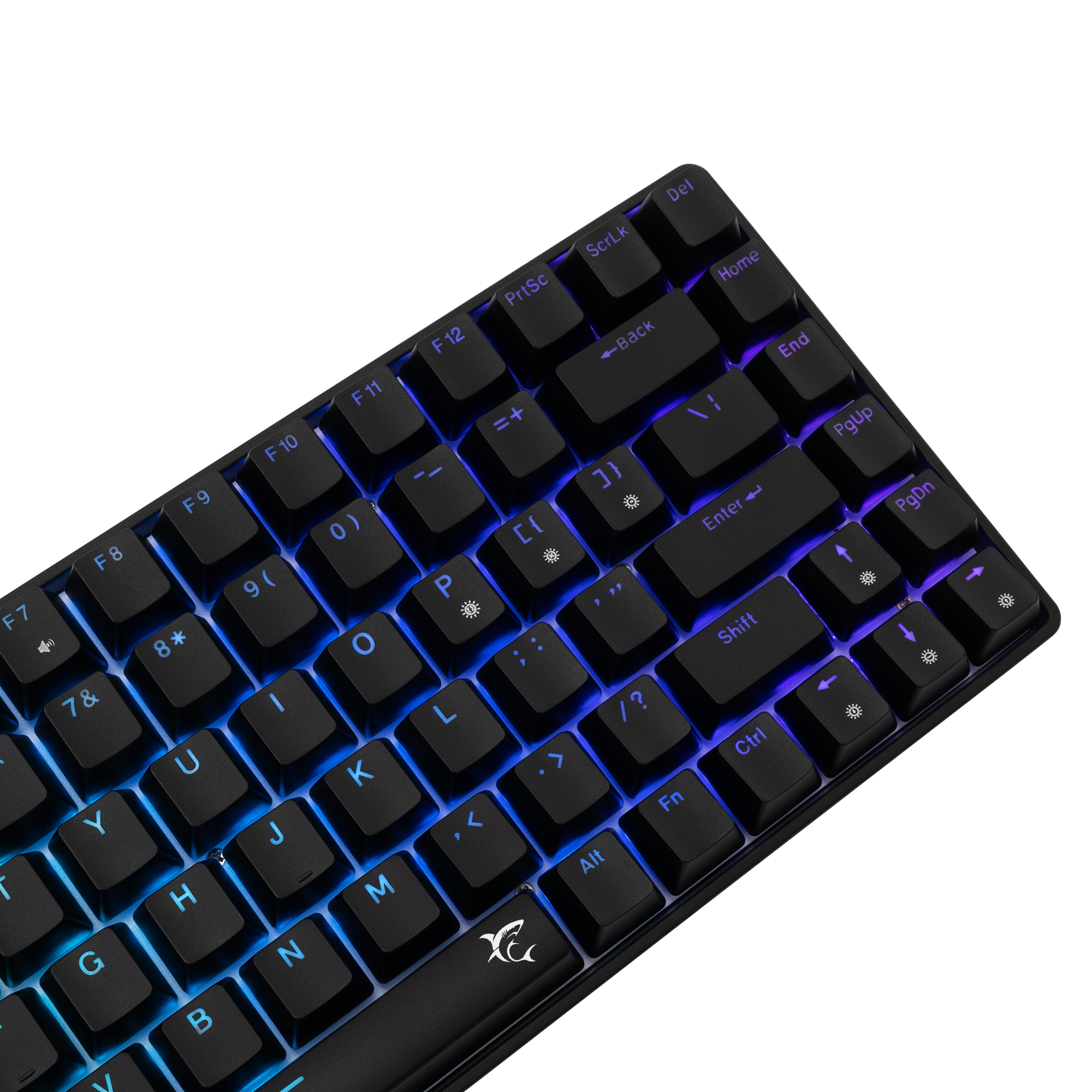 White Shark Tipkovnica GK-005121 HAMACHI Mehanička RGB / US - BLUE SW.-3