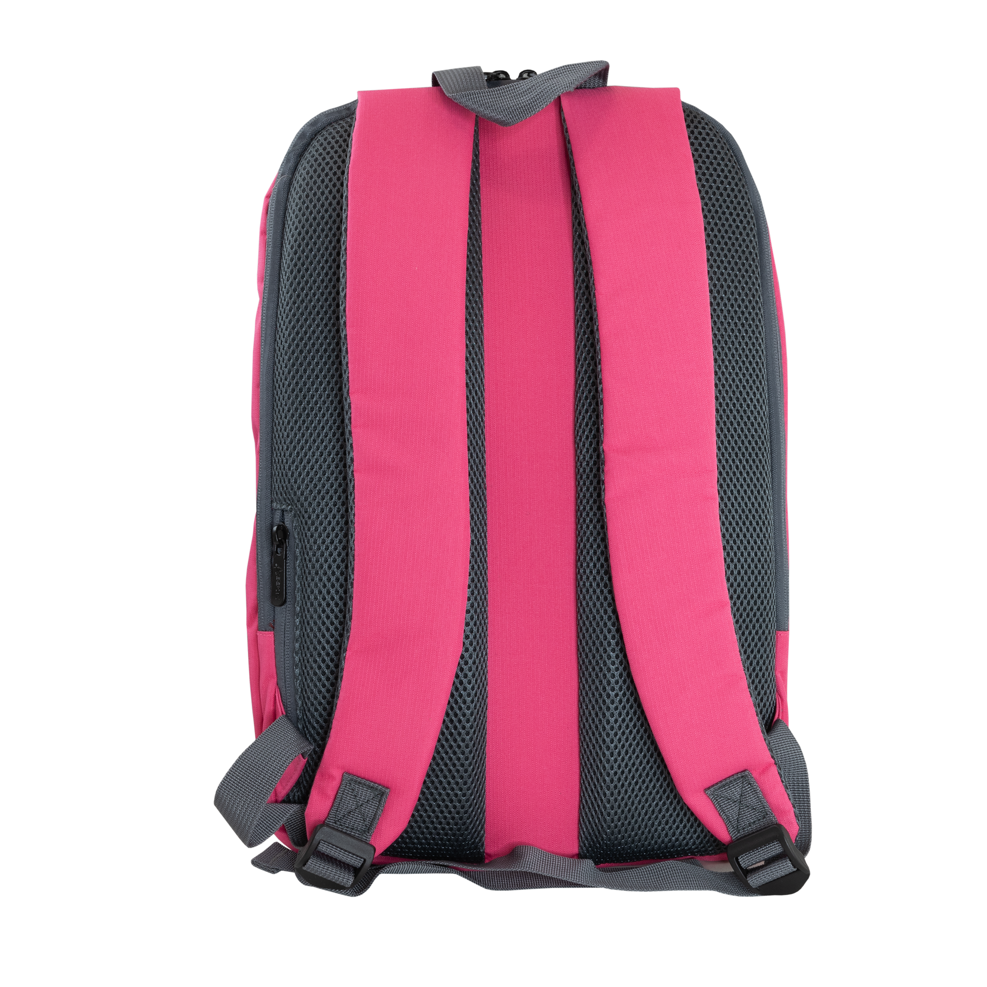 Ruksak SBOX NSE-1206P Dubai 15,6 roza-2
