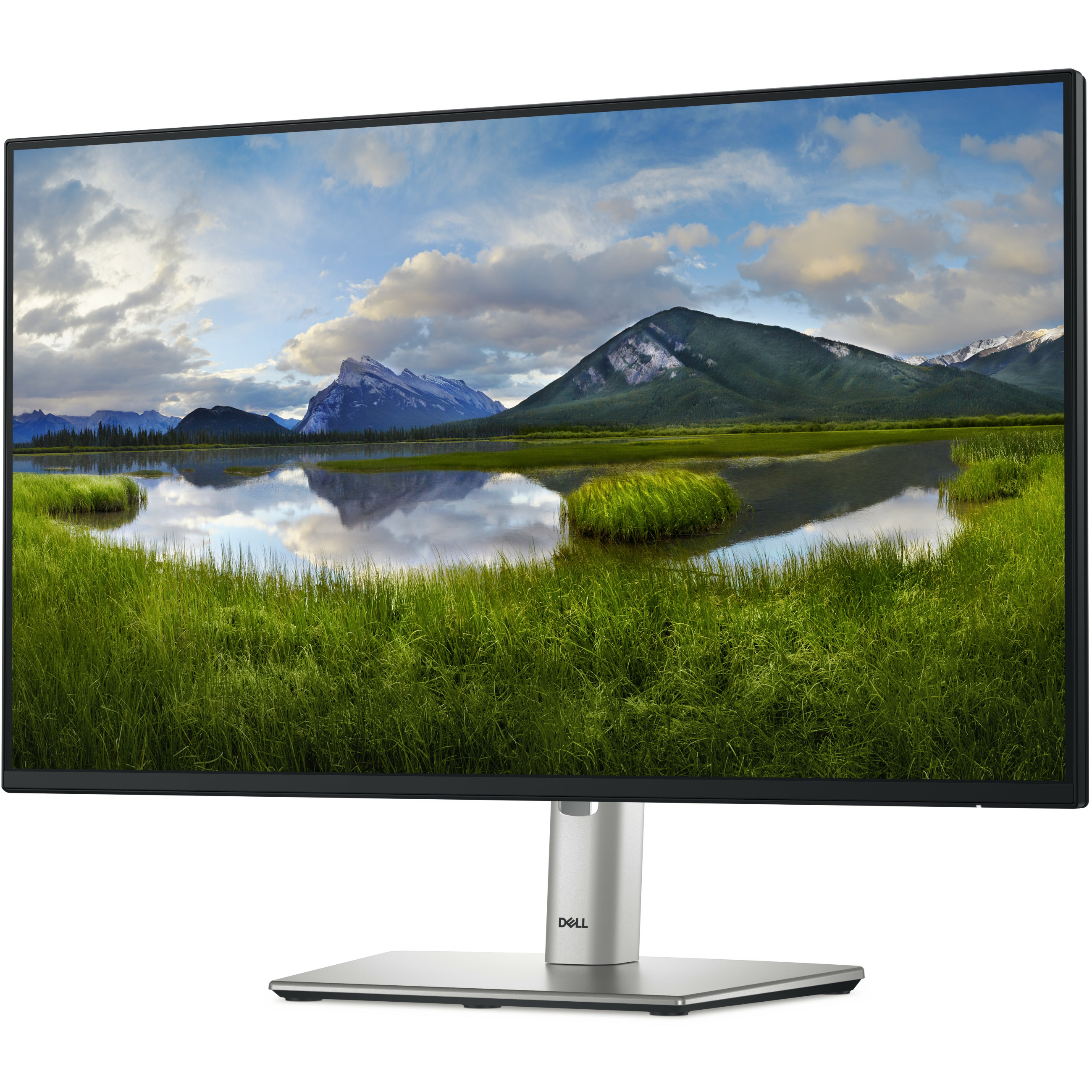 Monitor DELL Professional P2425HE 24" 1920x1080 FHD 100Hz IPS Antiglare 169 15001 250 cd/m2 8ms/5ms-6