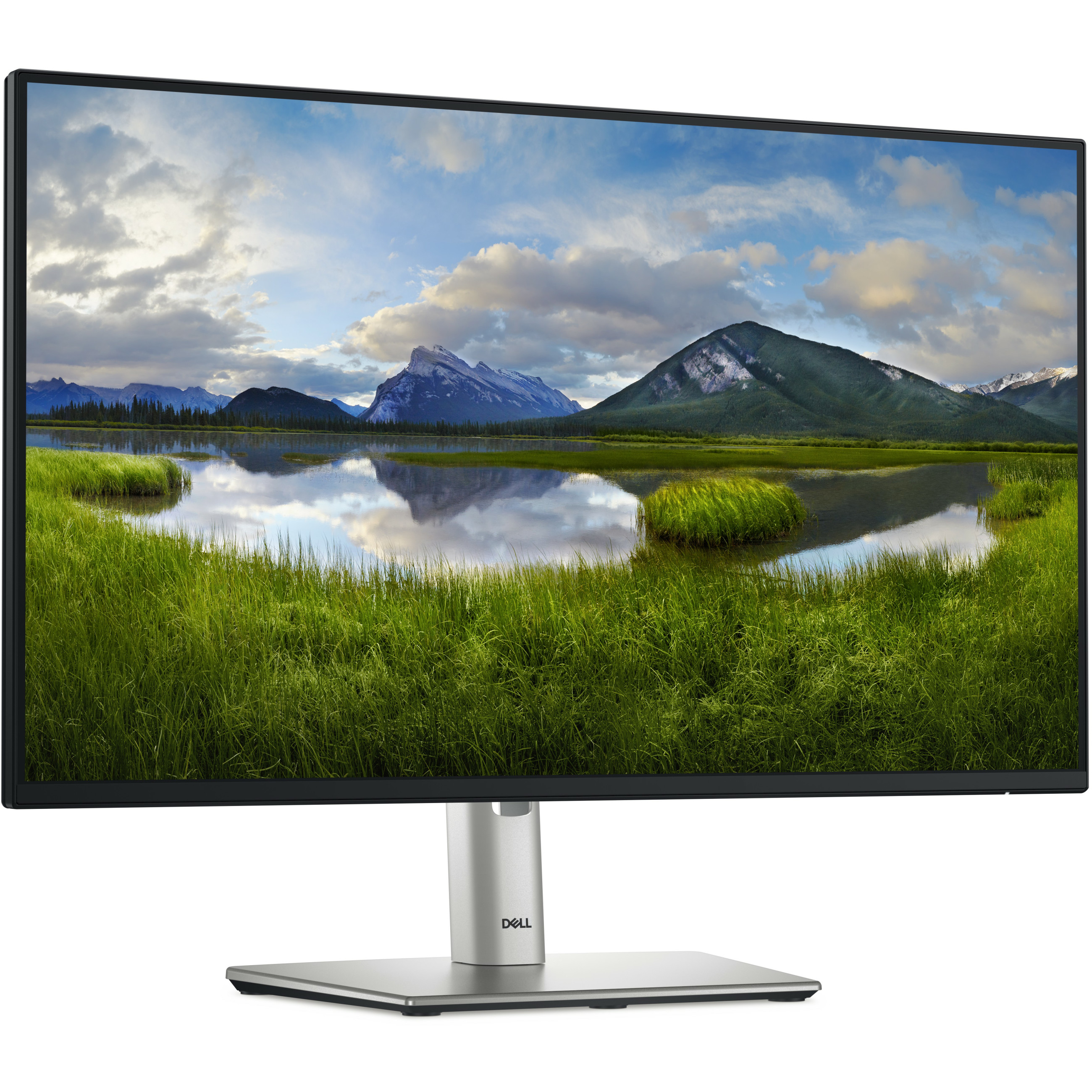 Monitor DELL Professional P2425HE 24" 1920x1080 FHD 100Hz IPS Antiglare 169 15001 250 cd/m2 8ms/5ms-7