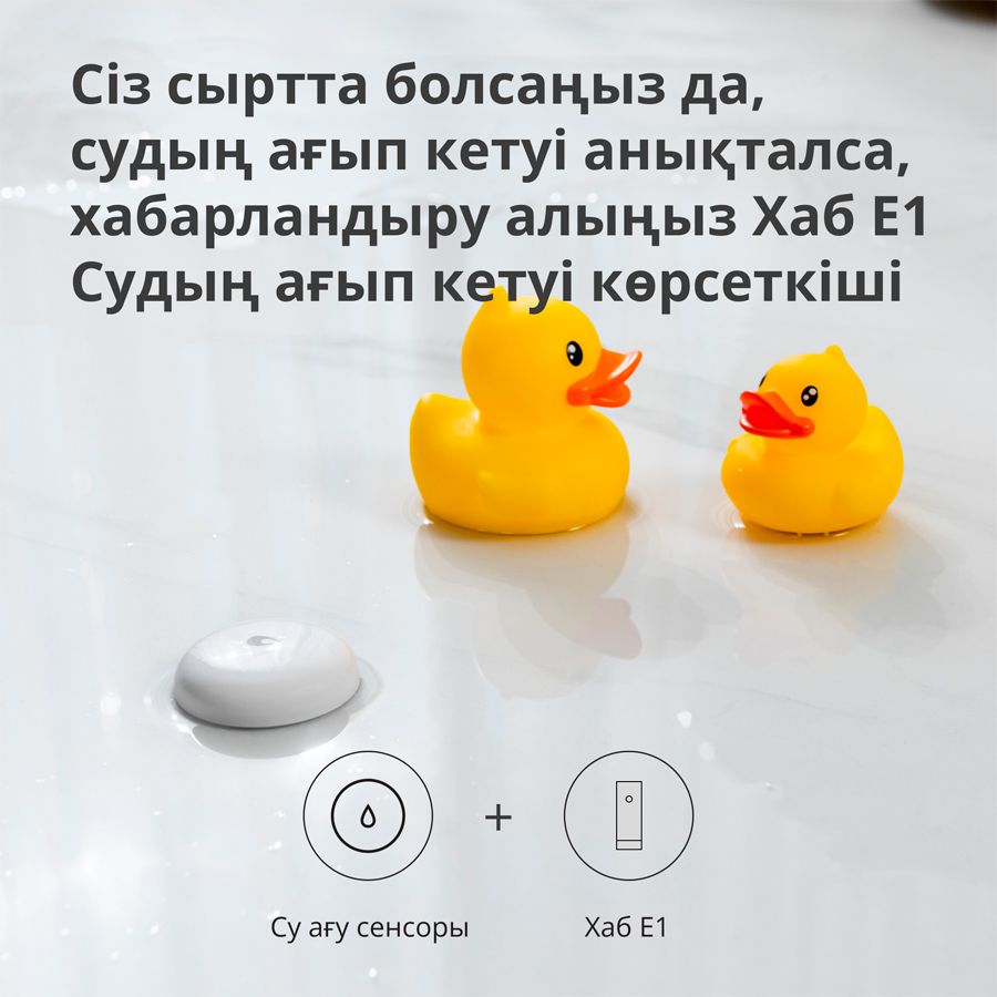 Aqara Hub E1: Model No: HE1-G01; SKU: AG022GLW01-41