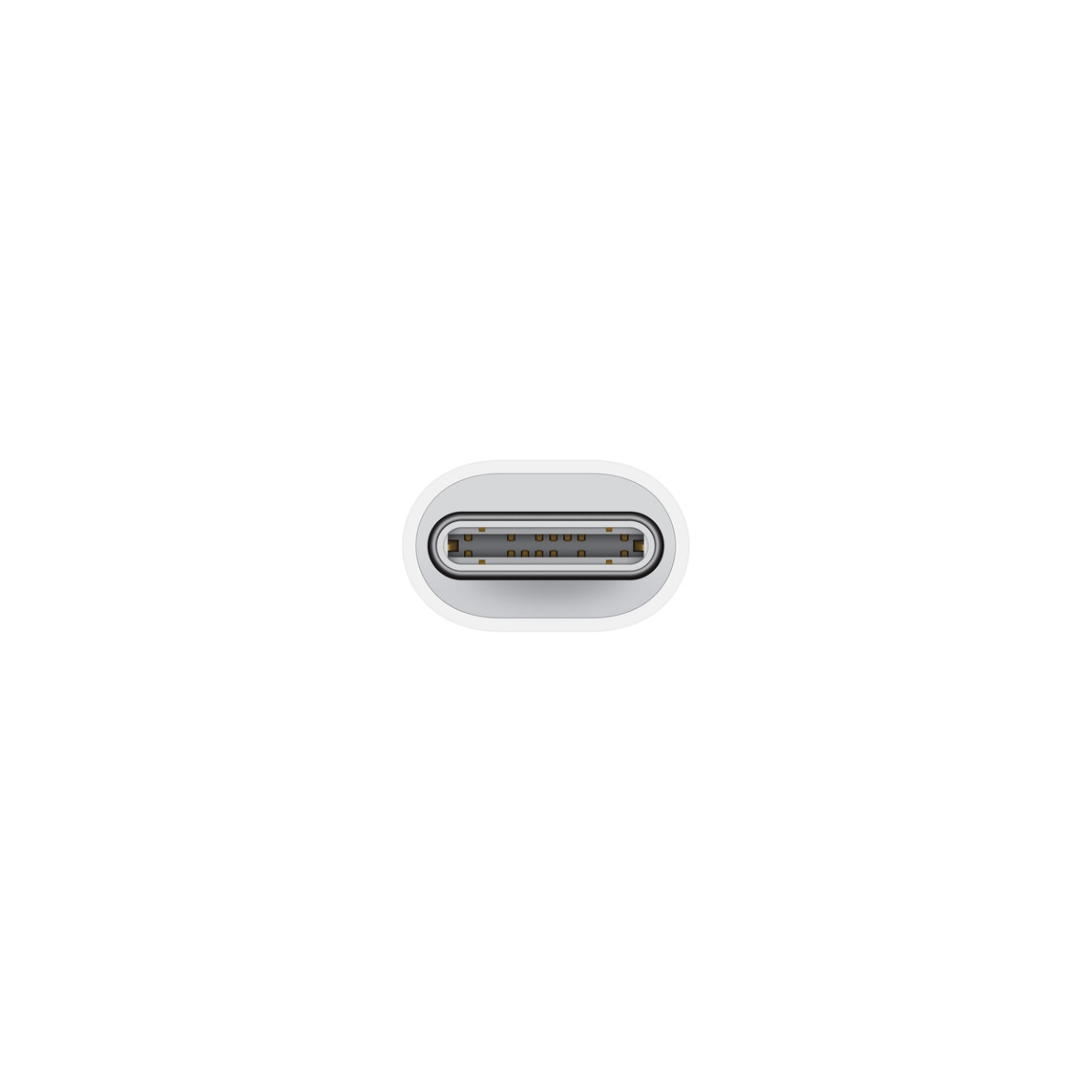 Apple USB-C to Lightning Adapter-1