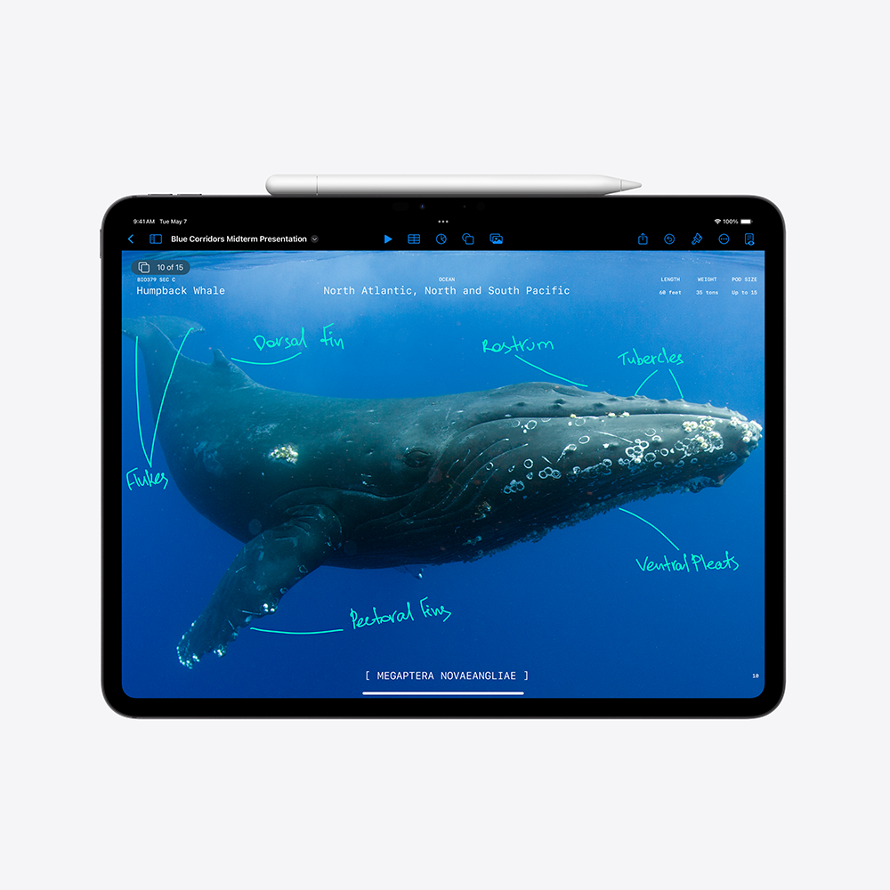 Tablet APPLE iPad Pro 13 2024 (13", WiFi, Cellular, 512GB, Silver, Standard Glass) - MVXV3HC/A-3
