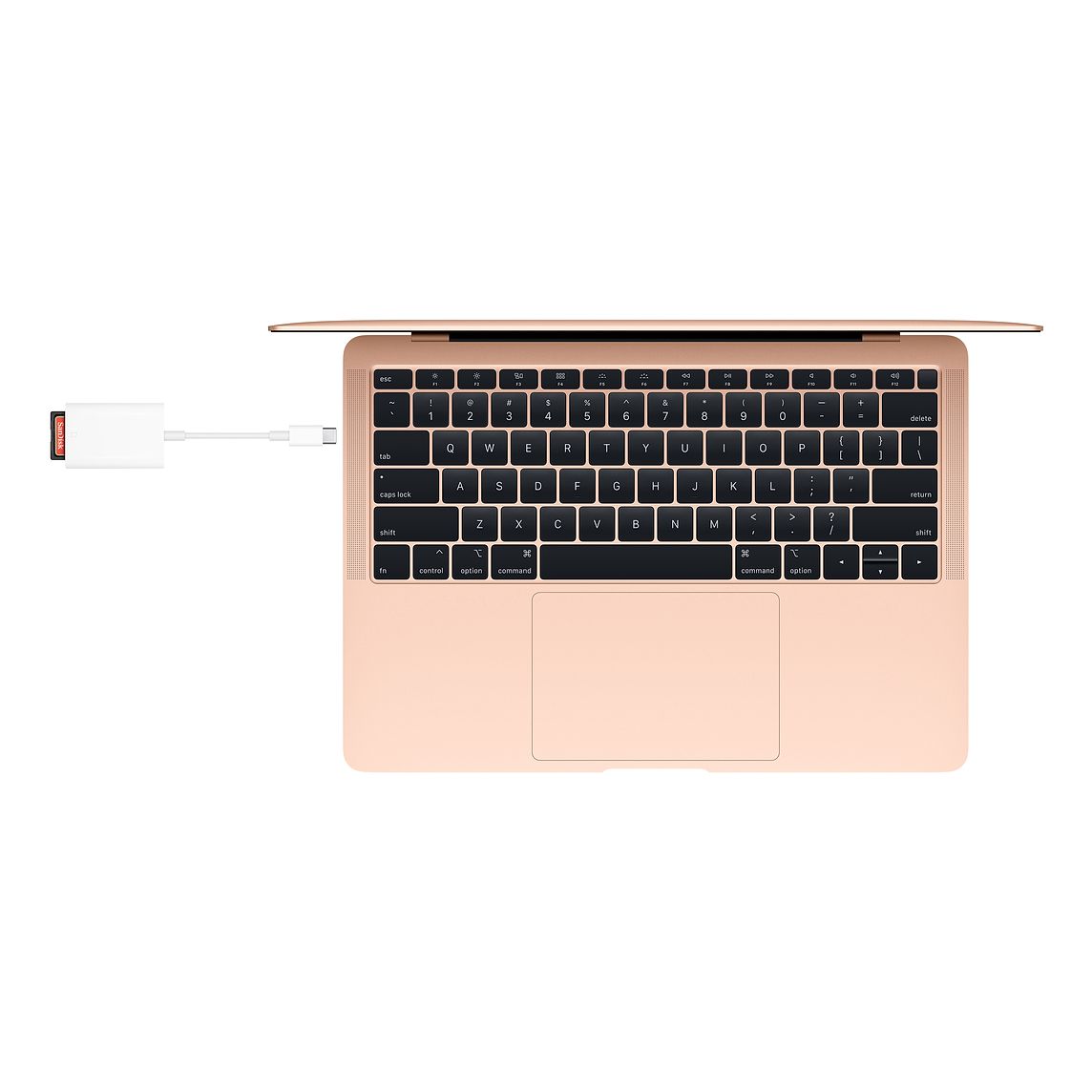 APPLE USB-C na SD Card Reader-1
