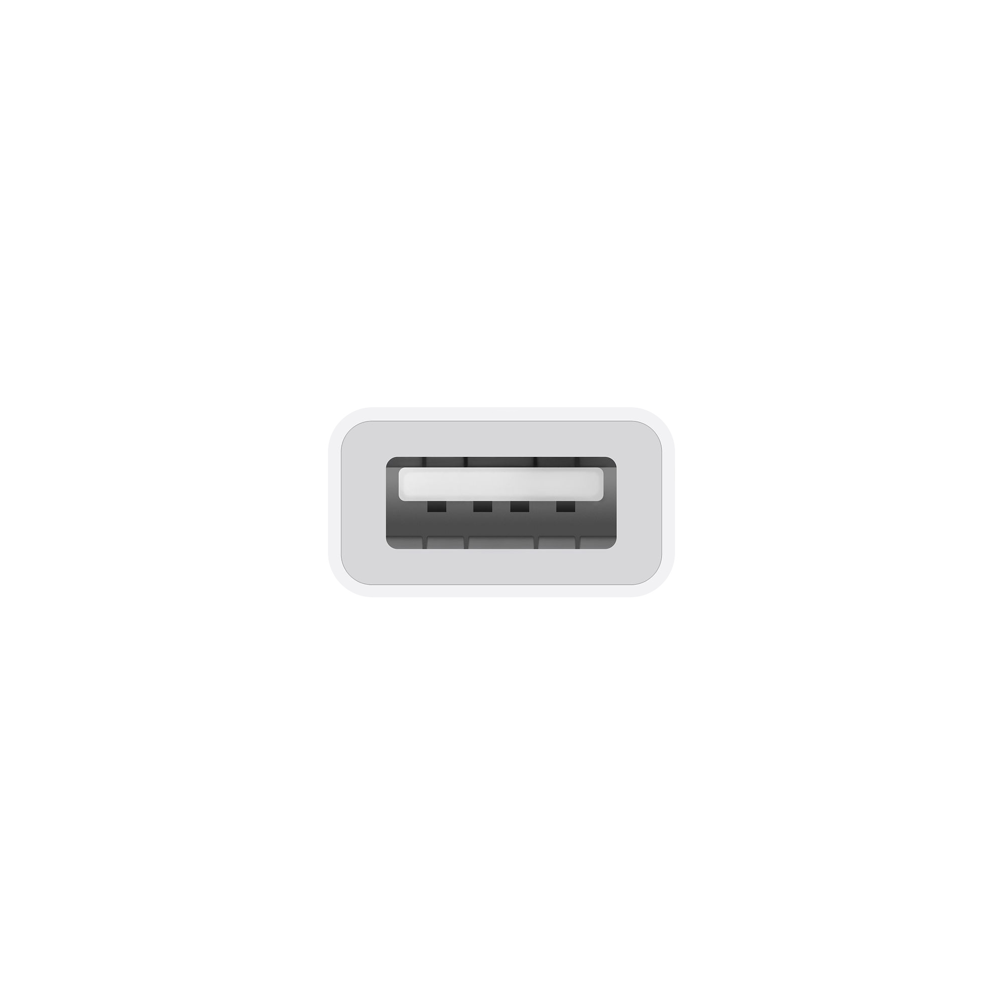 Apple USB-C to USB Adapter-2