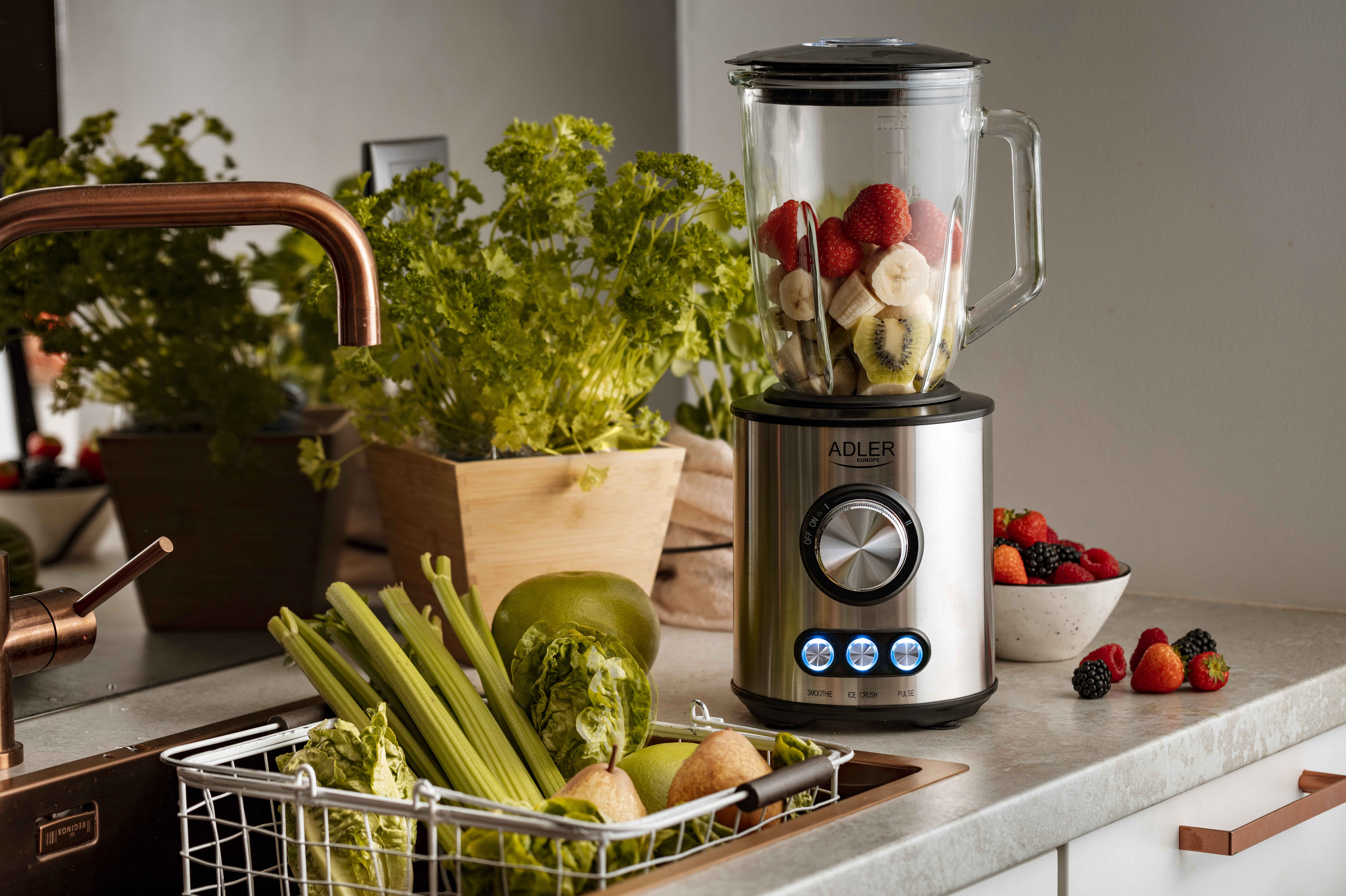 Blender ADLER AD 4078 (1700W)-10