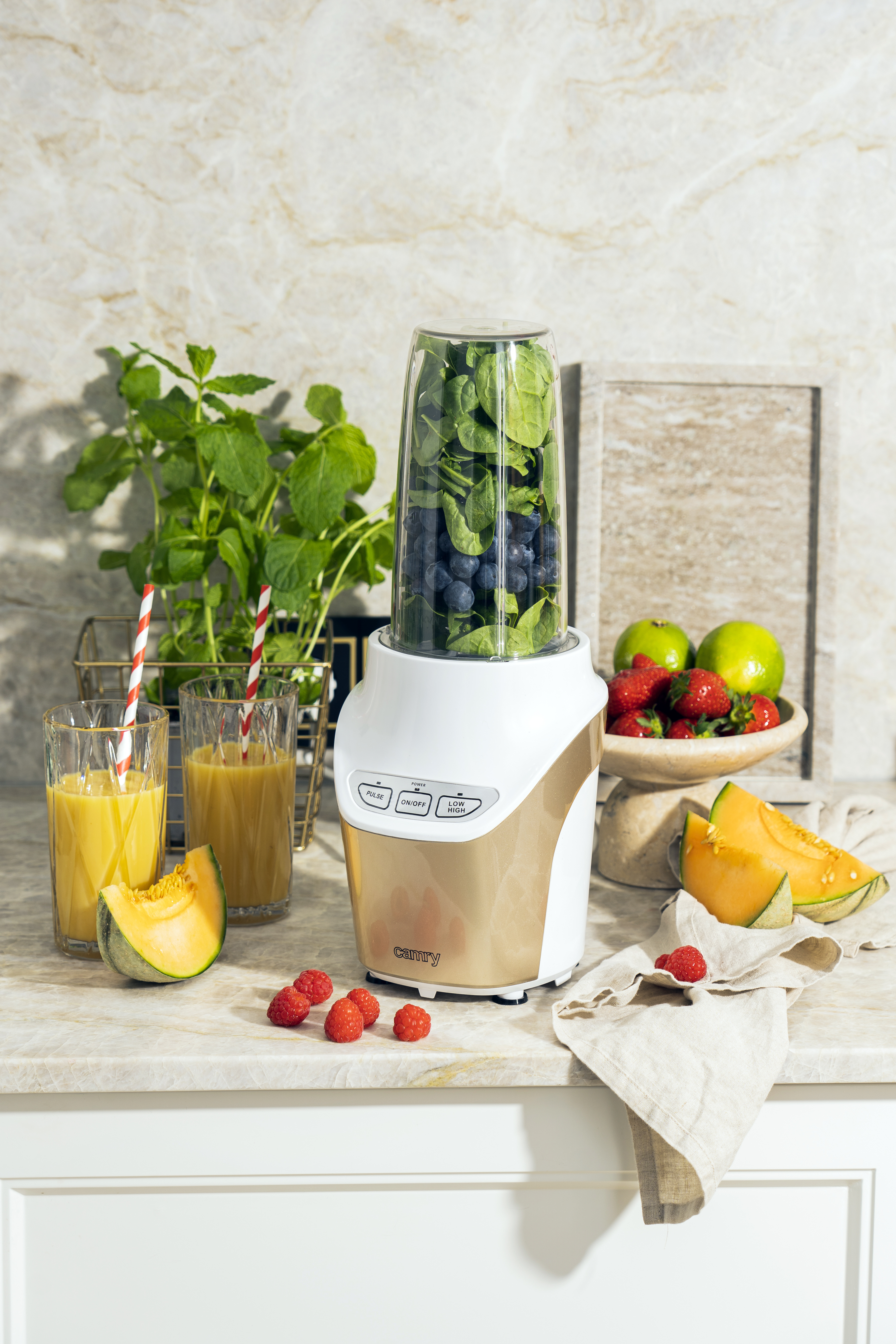 Blender CAMRY Nutri Pro Powernutrition CR 4071 (1700W)-9
