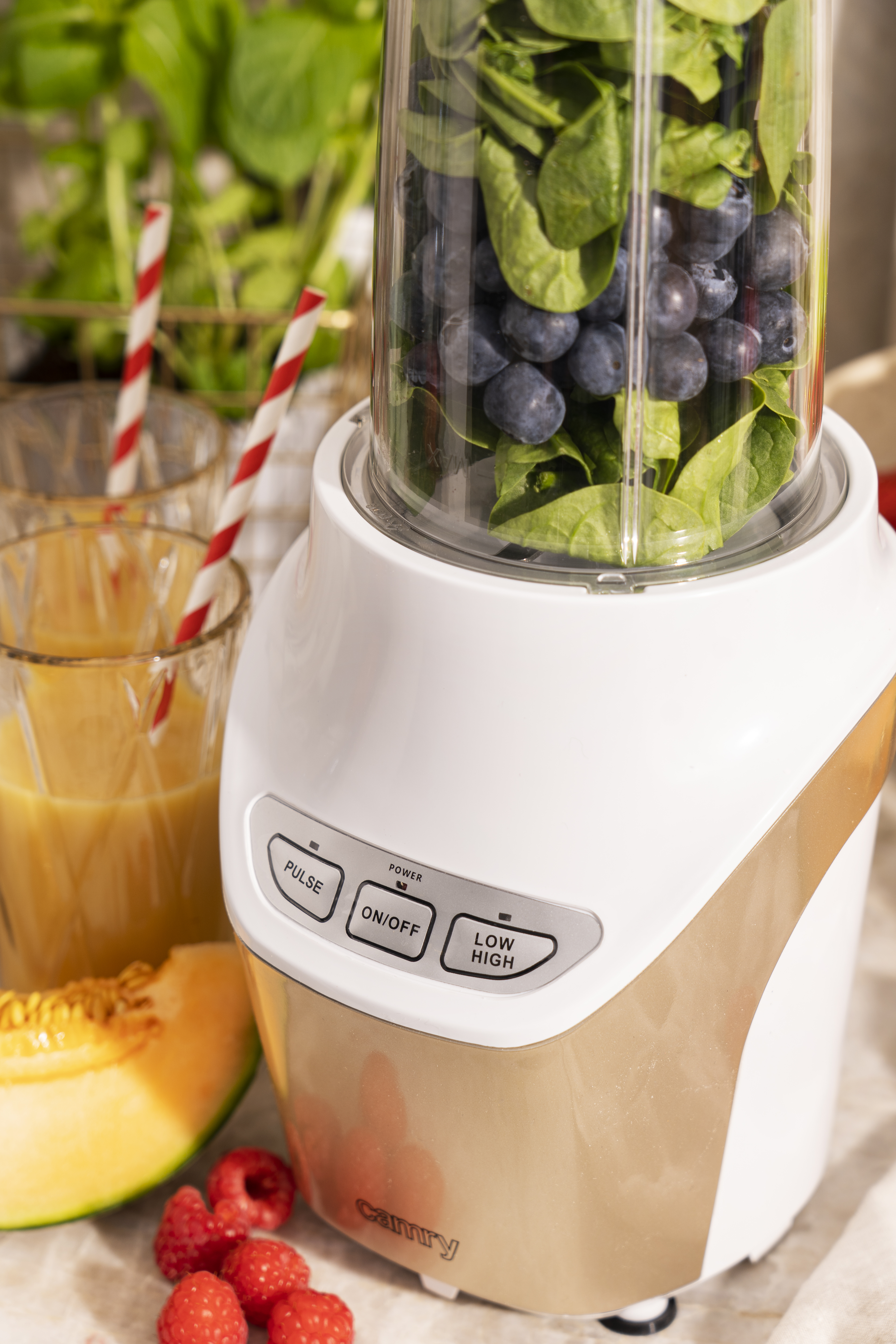 Blender CAMRY Nutri Pro Powernutrition CR 4071 (1700W)-7