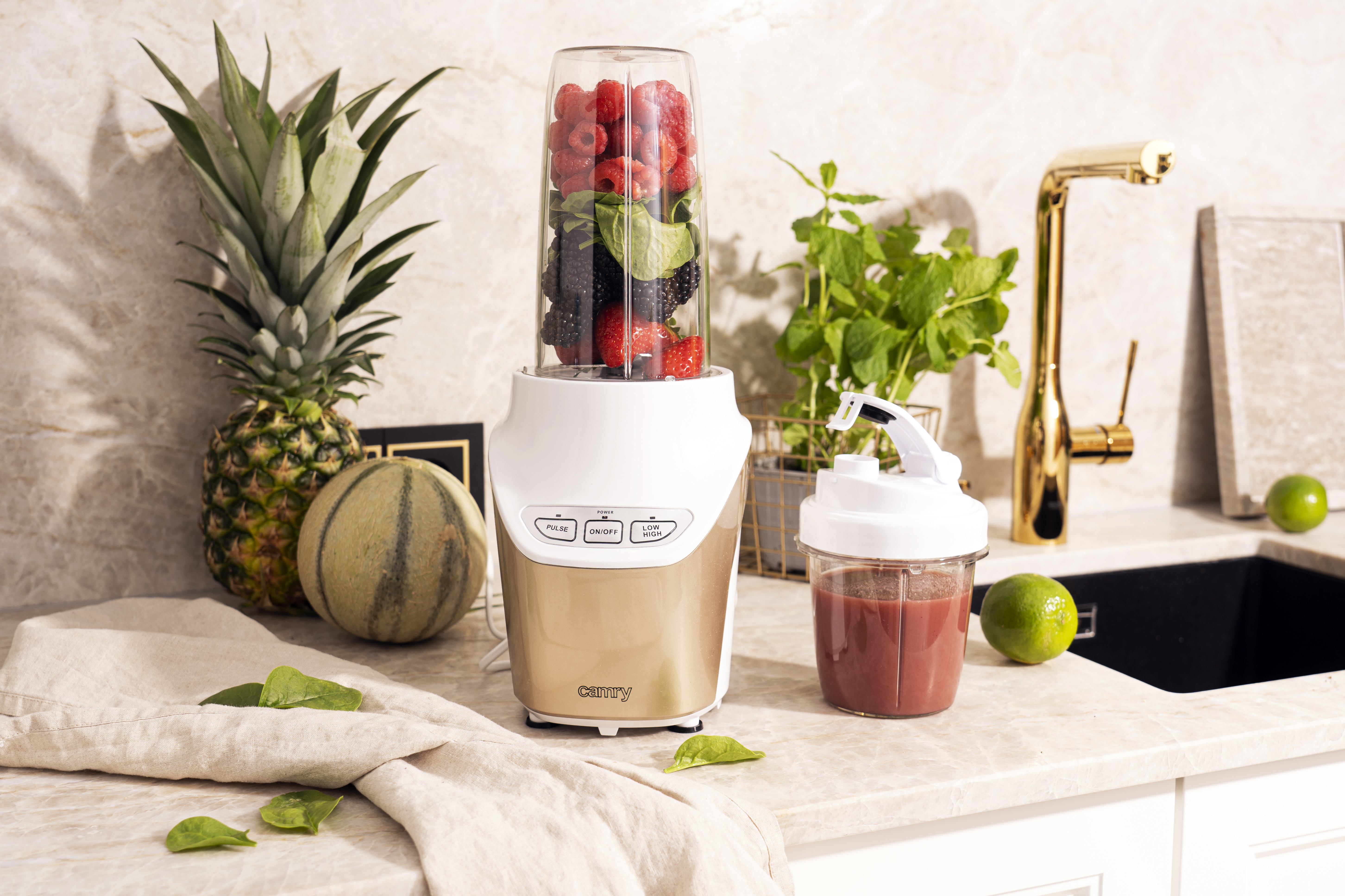 Blender CAMRY Nutri Pro Powernutrition CR 4071 (1700W)-1