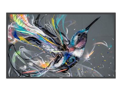 Profesionalni monitor PHILIPS 50BDL3511Q (50", 4k uhd)-1