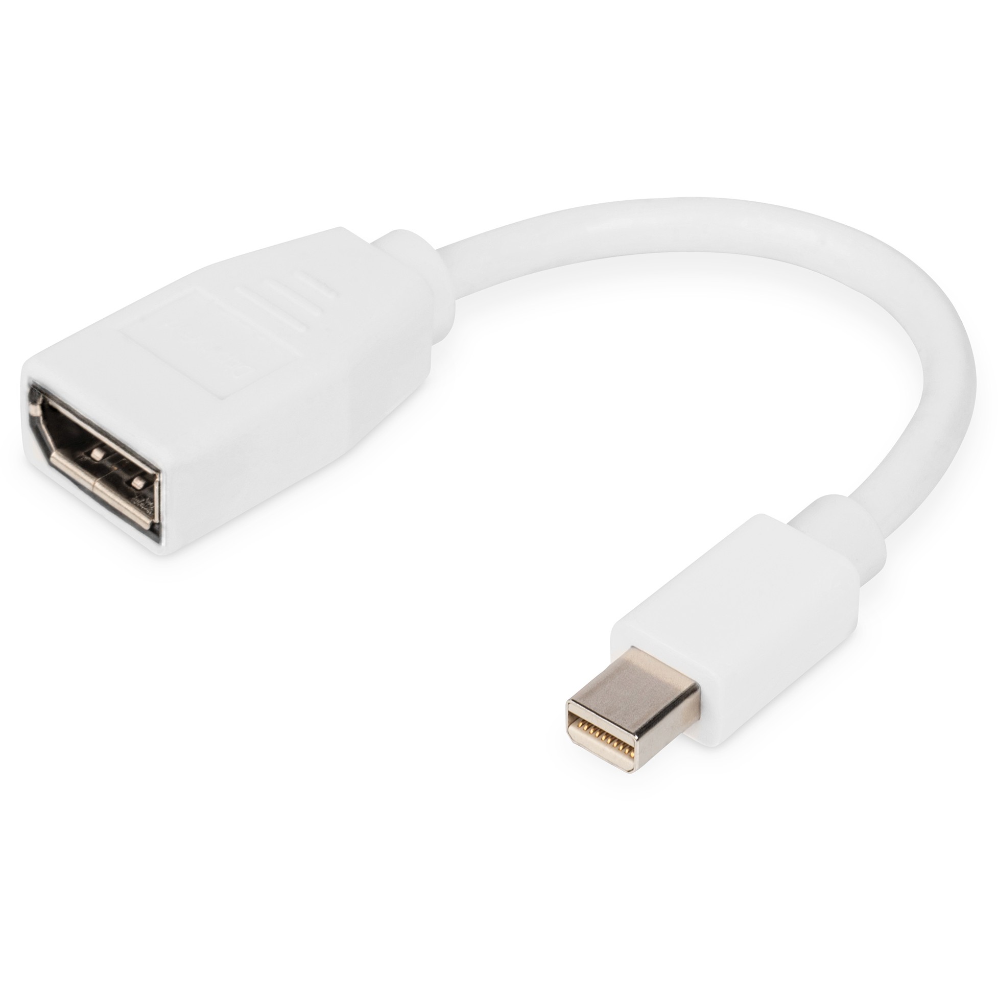 Adapter DIGITUS Mini DisplayPort na DisplayPort 15 cm-2