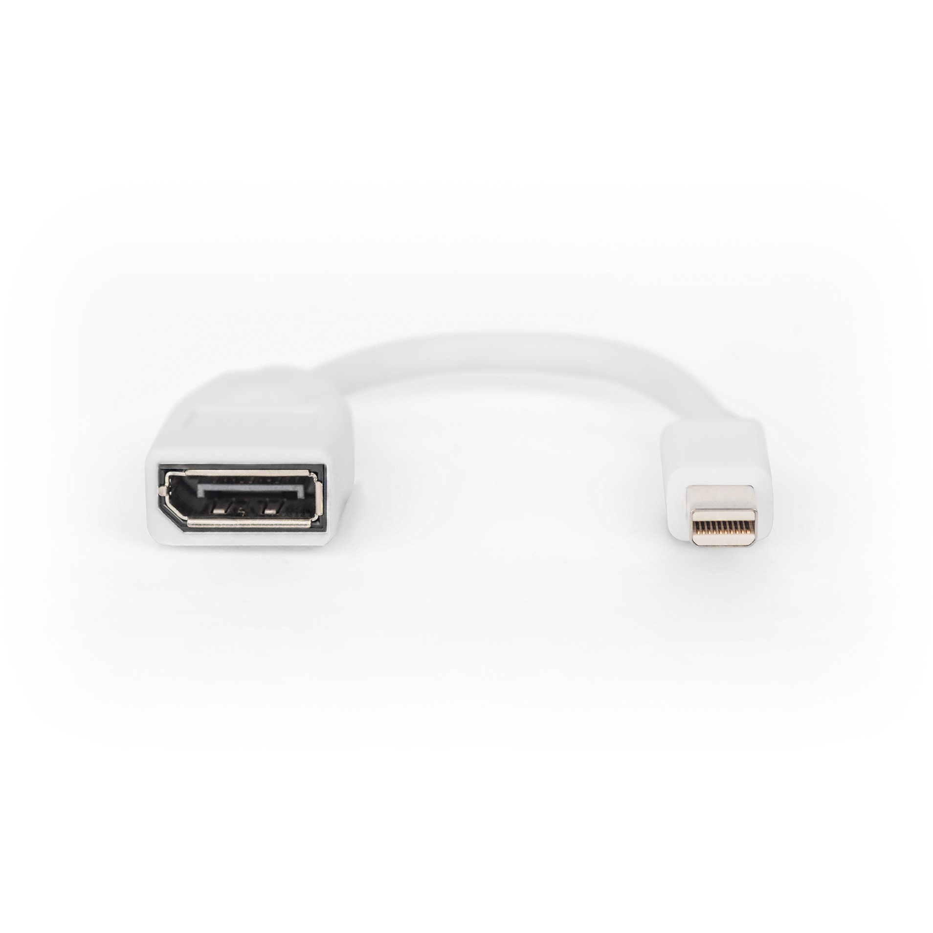 Adapter DIGITUS Mini DisplayPort na DisplayPort 15 cm-3