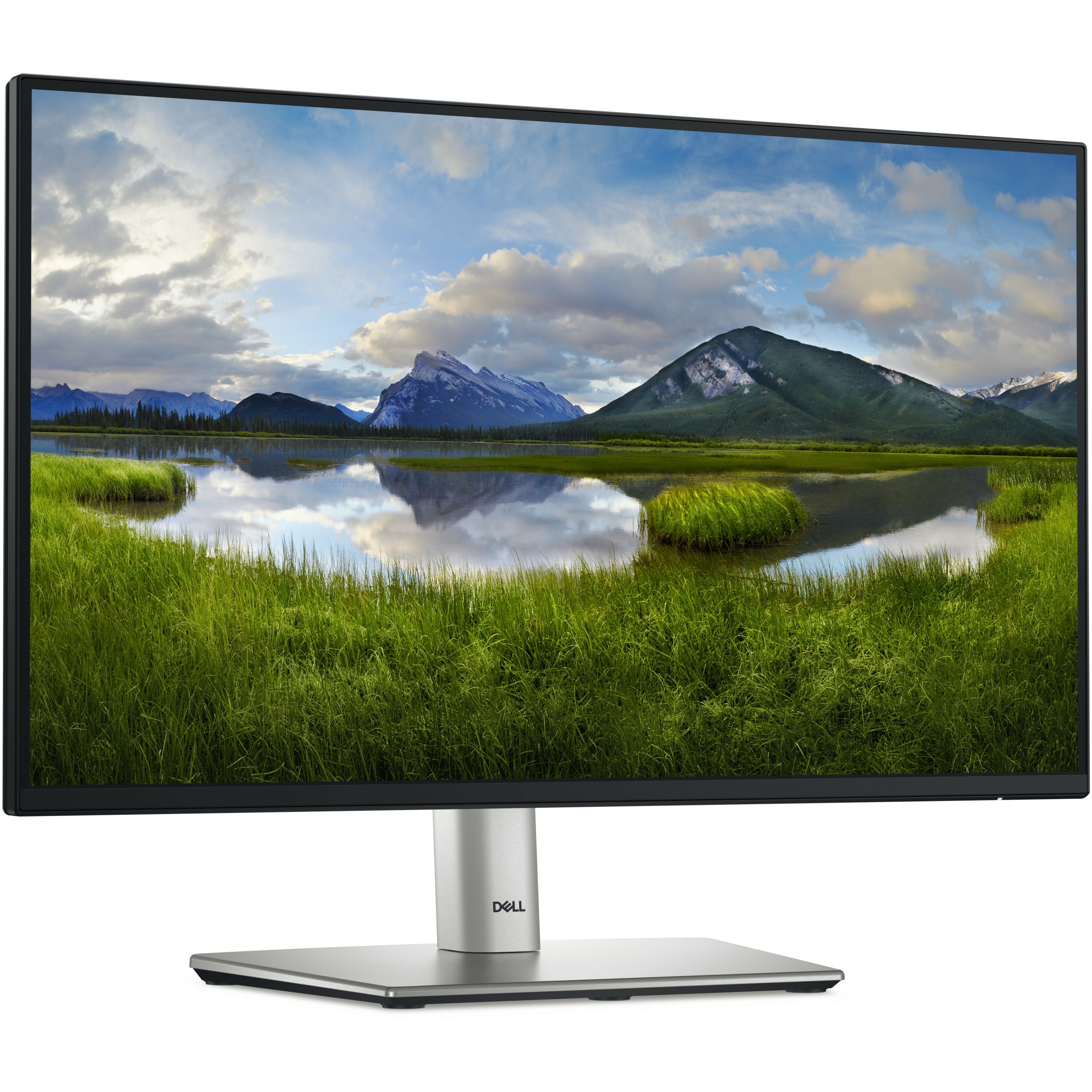Monitor DELL P2225H 55 cm (22") - 1920 x 1080 Full HD-9