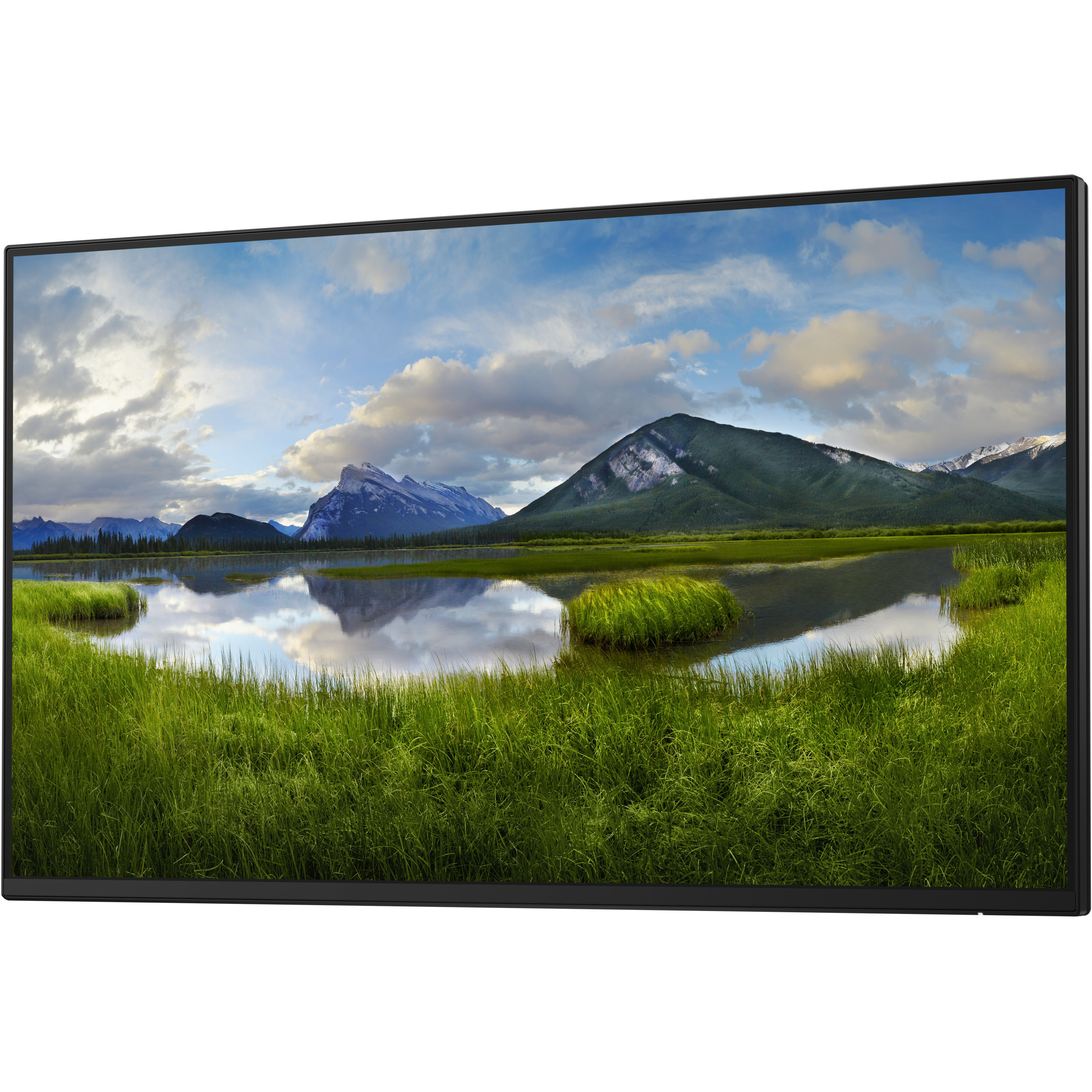 Monitor DELL P2425H 61 cm (24") 1920 x 1080 Full HD-8