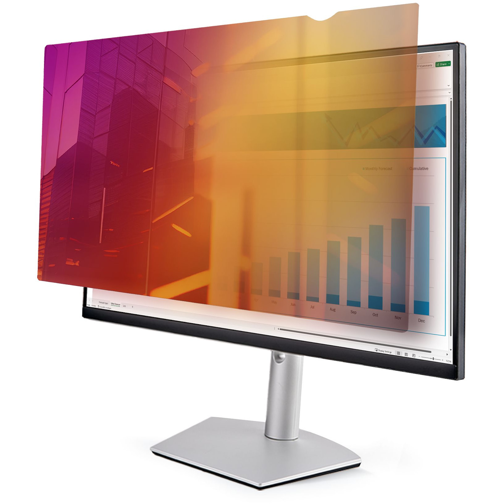 Monitor STARTECH Dis Acc Privacy Screen 24'' (univerzalni dizajn, 24 inča, 169)-3