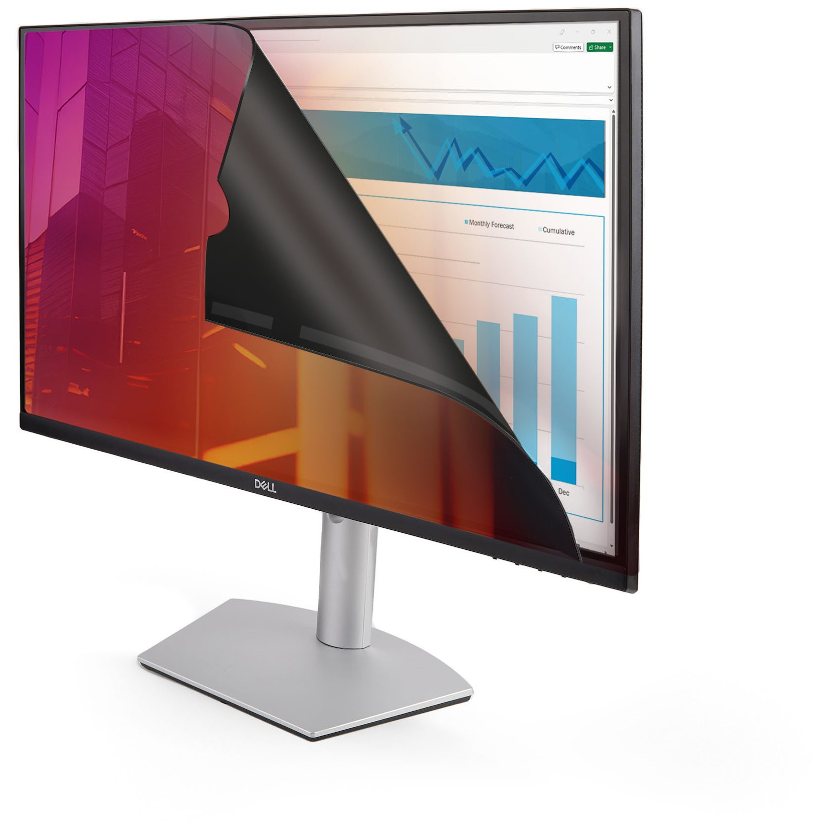 Monitor STARTECH Dis Acc Privacy Screen 24'' (univerzalni dizajn, 24 inča, 169)-10