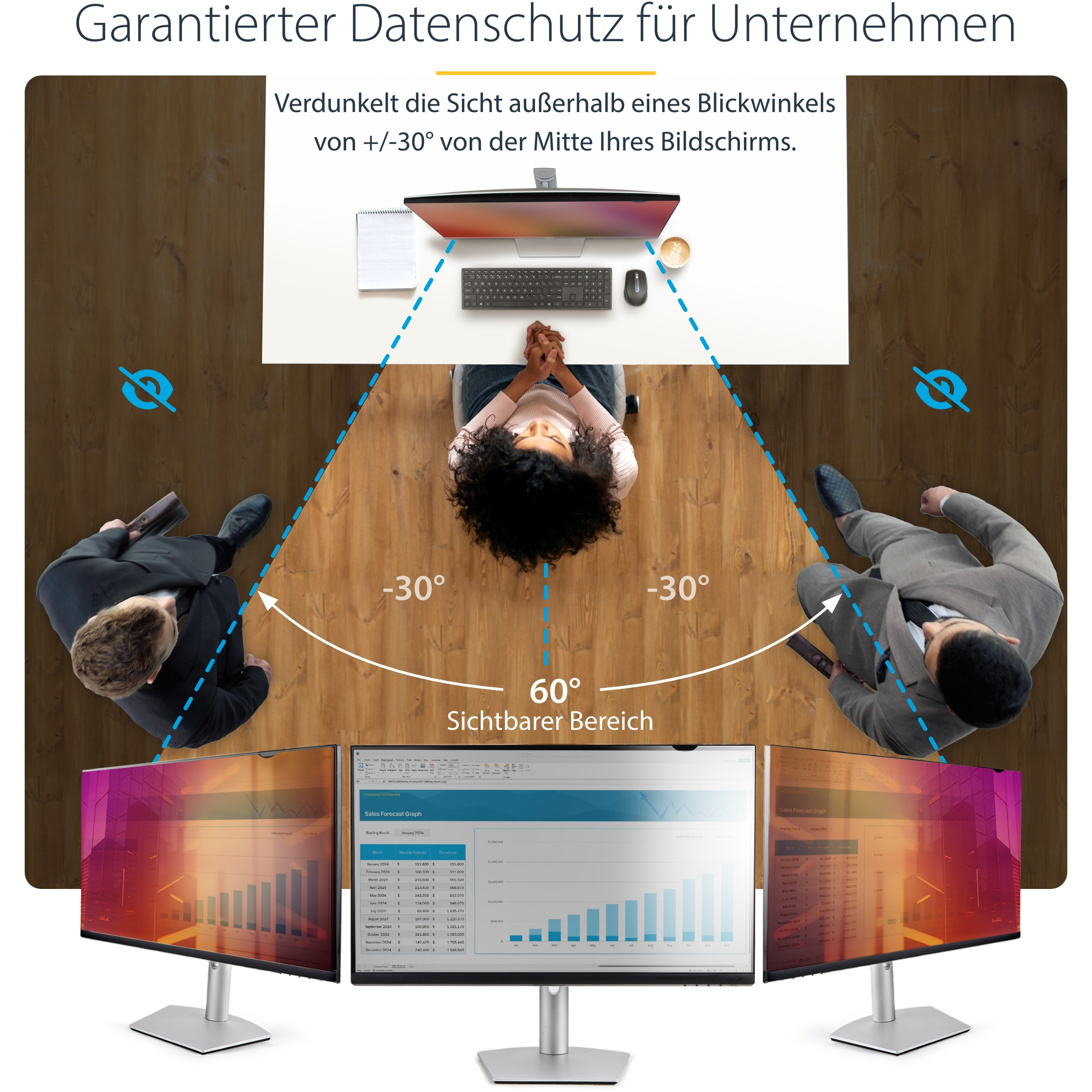 Monitor STARTECH Dis Acc Privacy Screen 24'' (univerzalni dizajn, 24 inča, 169)-15