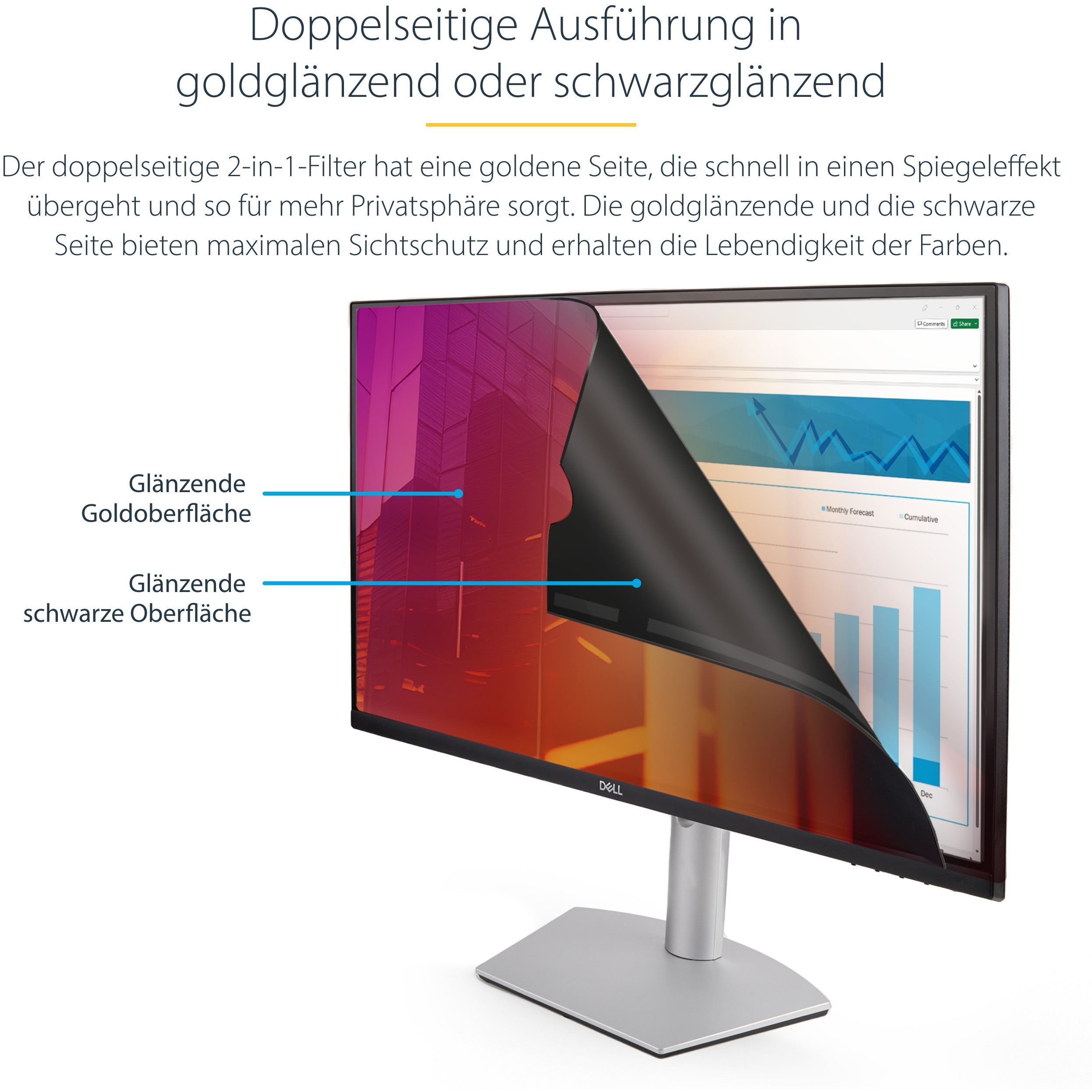 Monitor STARTECH Dis Acc Privacy Screen 24'' (univerzalni dizajn, 24 inča, 169)-16