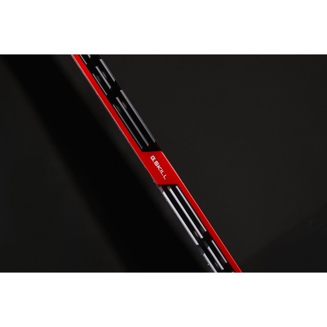Memorija G.SKILL TridentZ Series (DDR4, 32 GB: 2 x 16 GB, DIMM 288-pin, unbuffered)-5