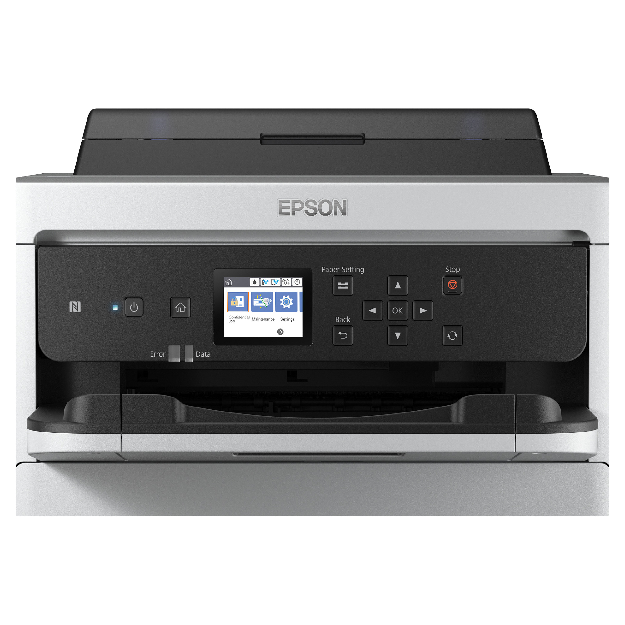 Tinta EPSON (XL, originalna, paket) cijan-5