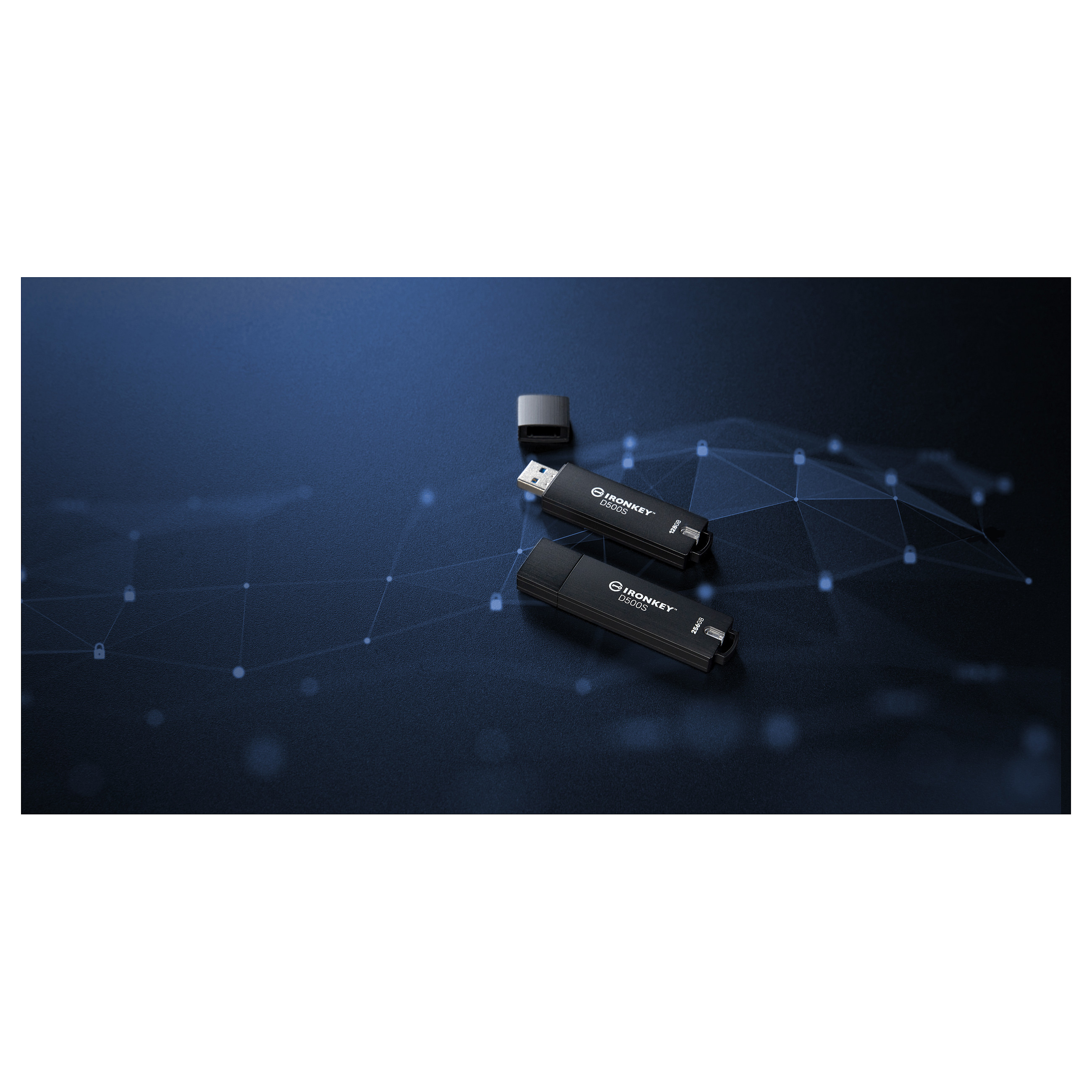 USB stick KINGSTON IronKey D500S (128gb, usb 3.0, secure)-13