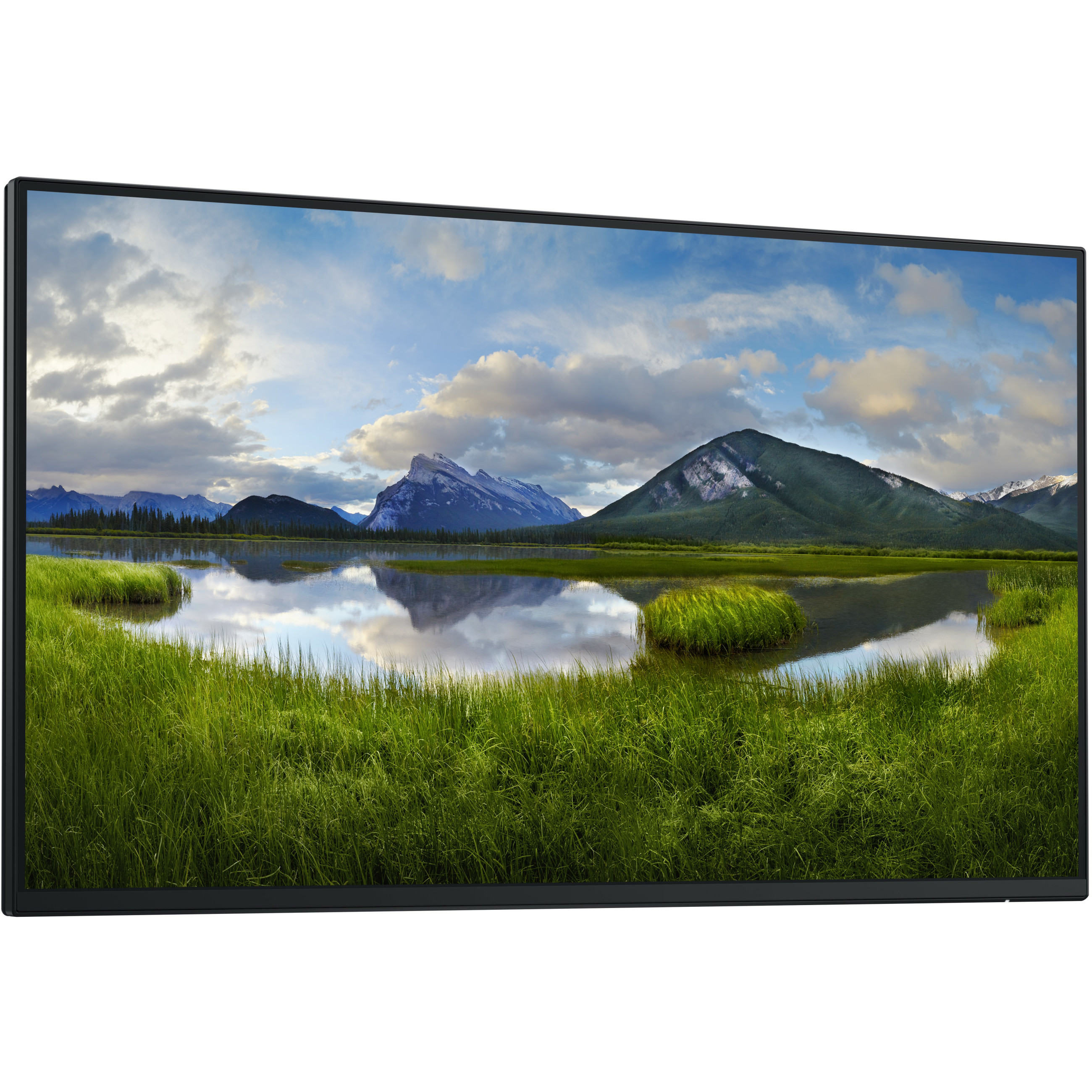 Monitor DELL P2425HE 61 cm (24") 1920 x 1080 Full HD-9