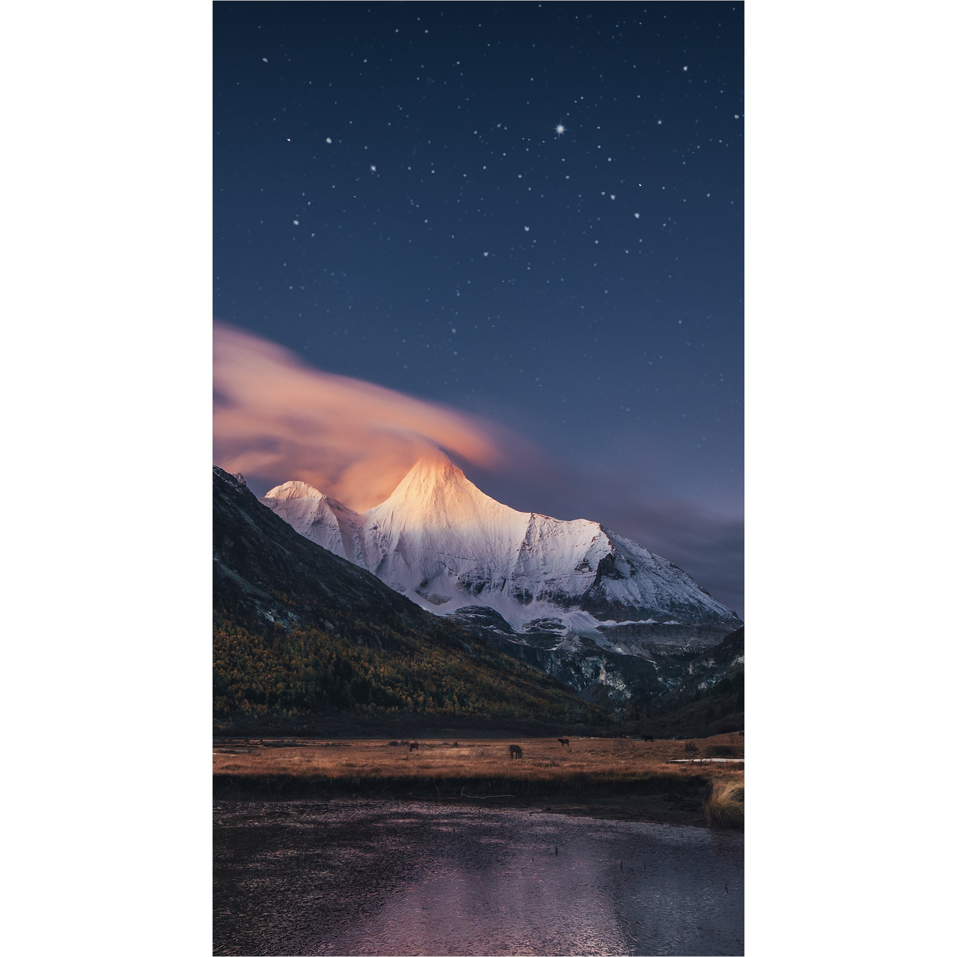 TV SAMSUNG VM55C-R Videowall (55", LED, 1080p, IPS, HDMI, DisplayPort, USB, LAN, RS-232C, MagicInfo S6 Player, SMART Signage Platform, 24-satni rad)-3