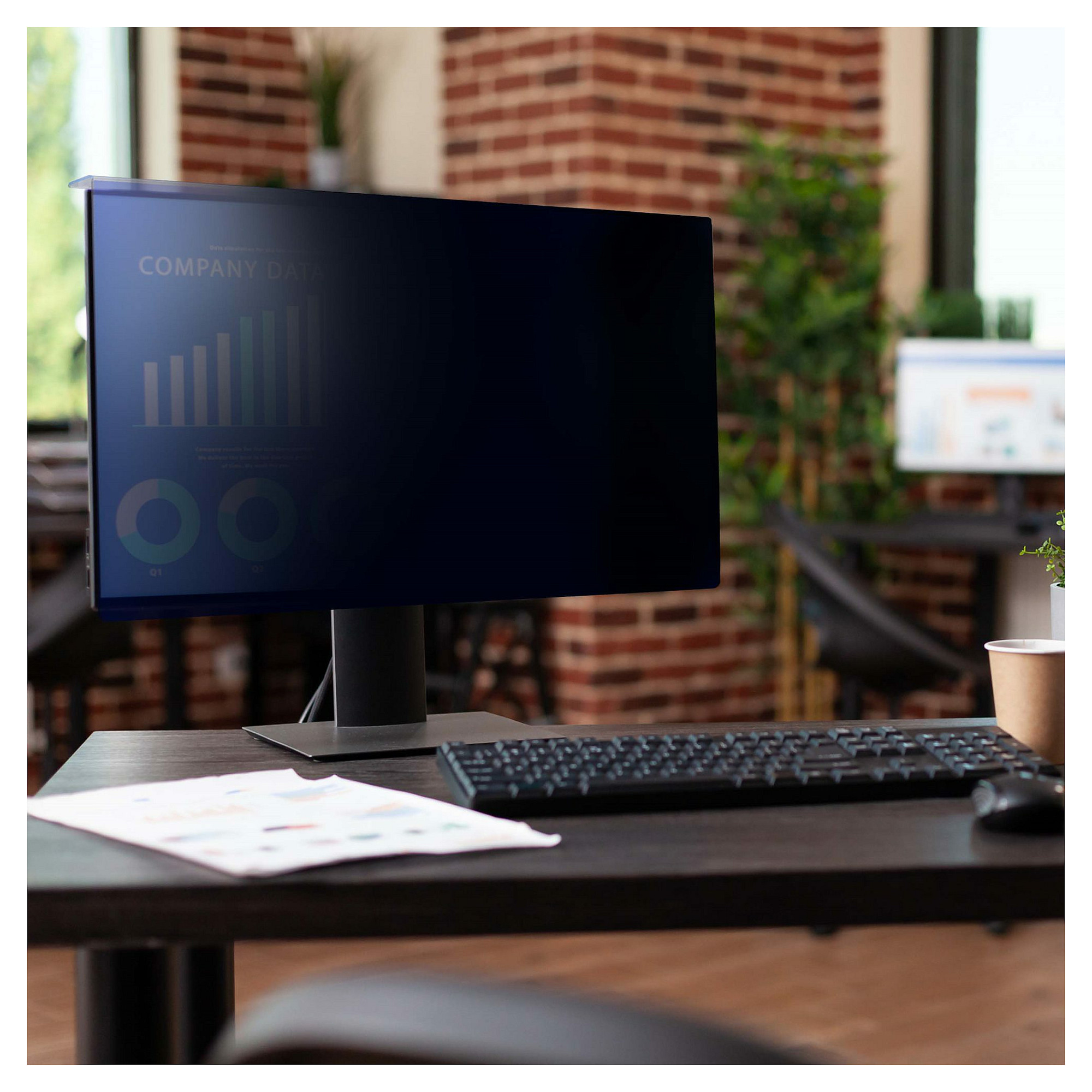 Monitor STARTECH.COM 24-inch (169)-13