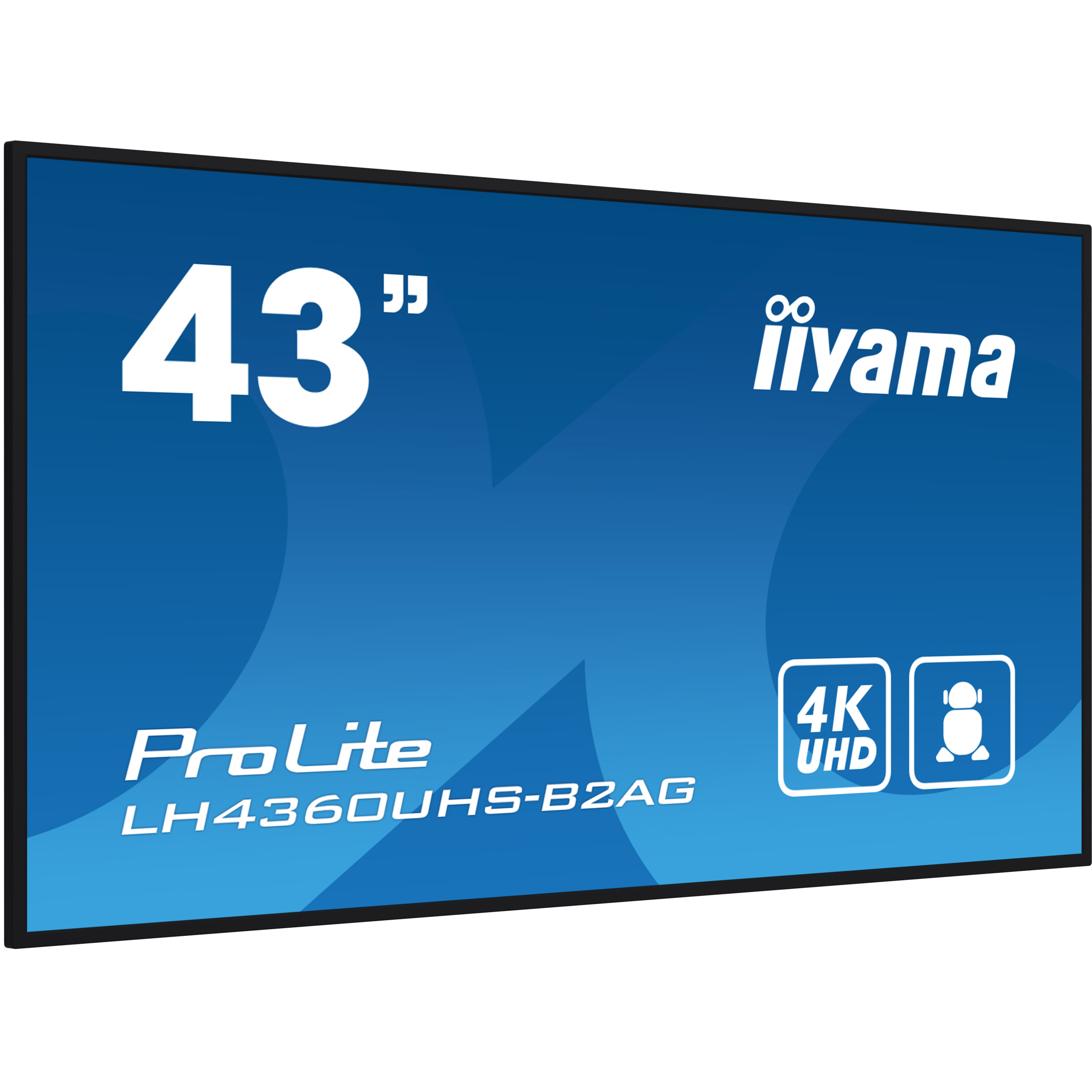 iiyama ProLite LH4360UHS-B2AG 43" Class (42.5" viewable) LED-backlit LCD display - 4K - for digital signage-17