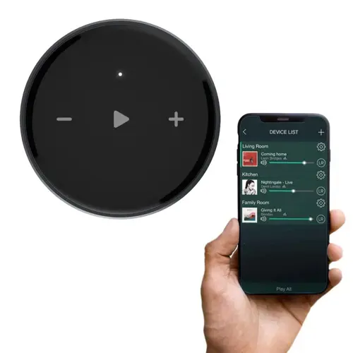 Audio streamer WiiM Mini-3