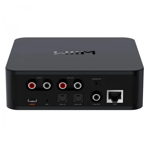 Audio streamer WiiM Pro-1