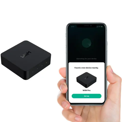 Audio streamer WiiM Pro Plus-2