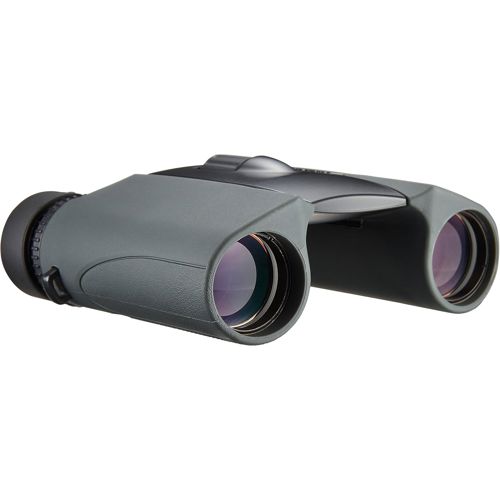 Dvogled NIKON Sportstar EX 10x25DCF crni-4