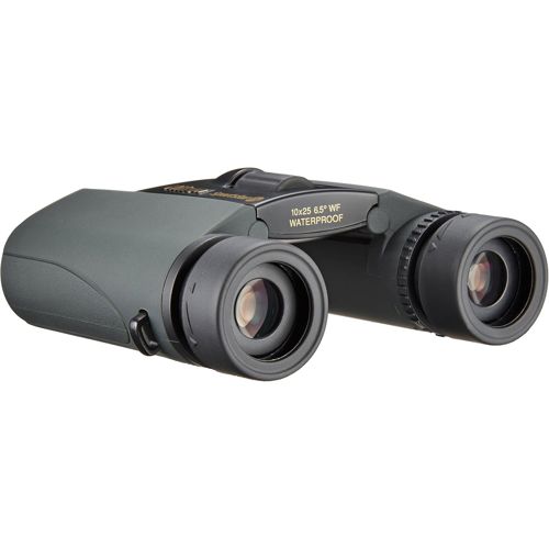 Dvogled NIKON Sportstar EX 10x25DCF crni-3