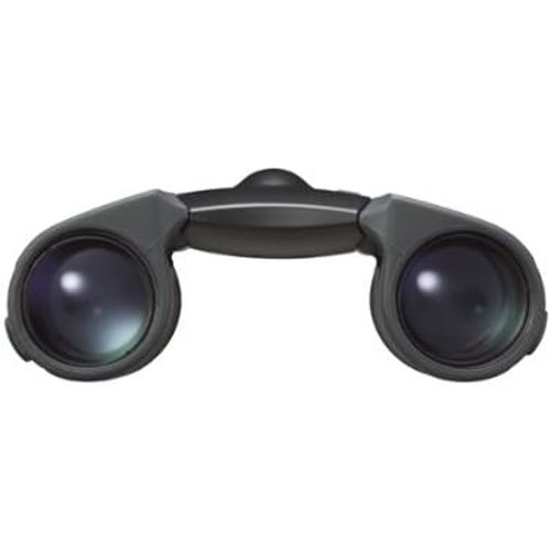 Dvogled NIKON Sportstar EX 10x25DCF crni-2