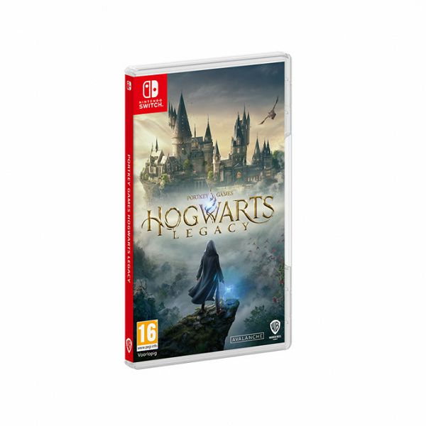 Igra za NINTENDO Switch Hogwarts Legacy-1
