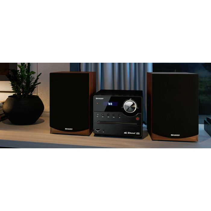 Glazbena mini linija SHARP XL-B512BR (Bluetooth, USB, FM, MP3)-8