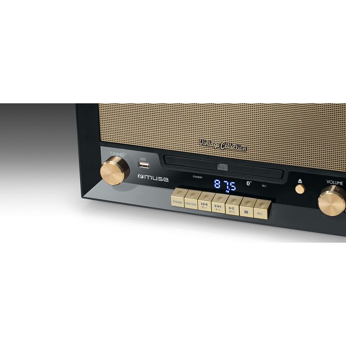 Mikro linija MUSE s gramofonom MT-110B-1