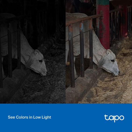 Nadzorna kamera TP-LINK Tapo C320WS 2K (IP, 4MP, IR, WiFi, žična, vanjska/unutarnja)-17